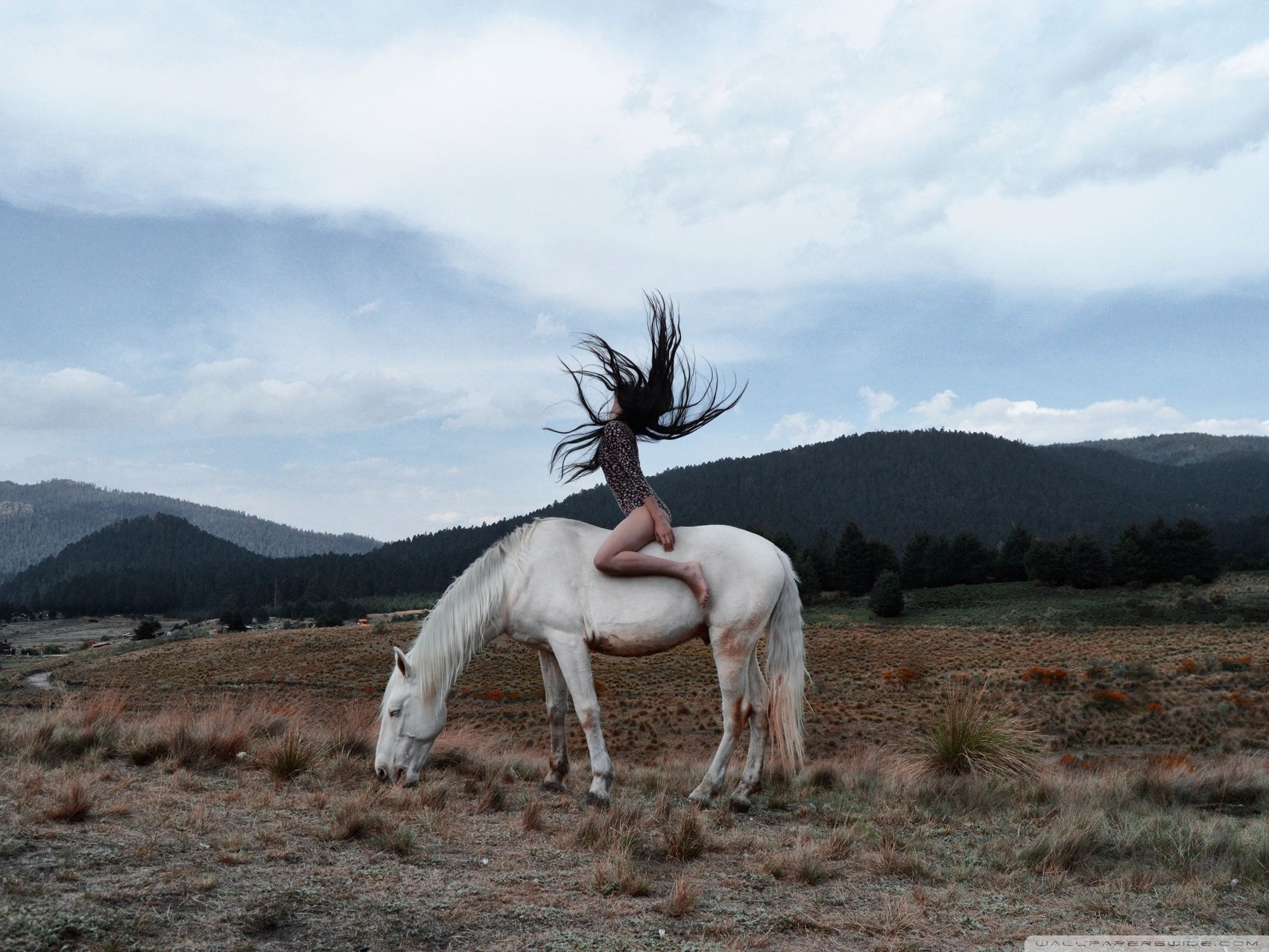 2050x1540 Woman, White Horse, Aesthetic Ultra HD Desktop Background, Desktop