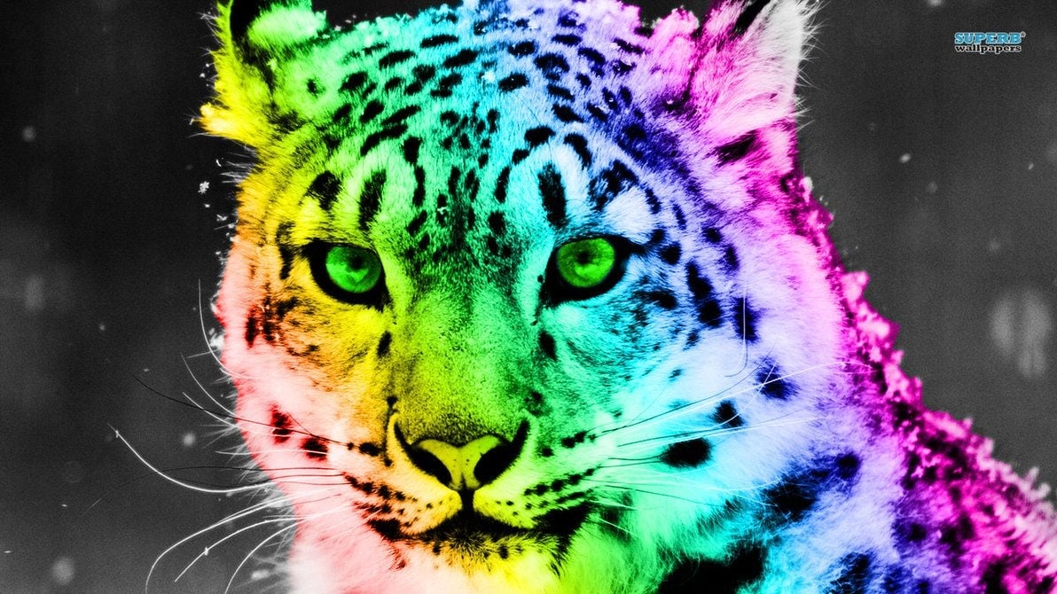 1200x670 Colorful Cheetah Wallpaper, Desktop