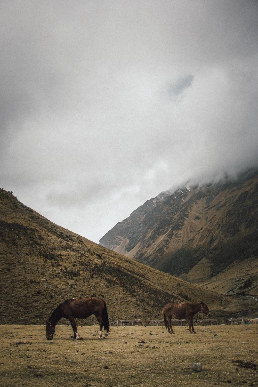 1000x1500 HQ Cusco, Peru Picture. Download Free Image, Phone