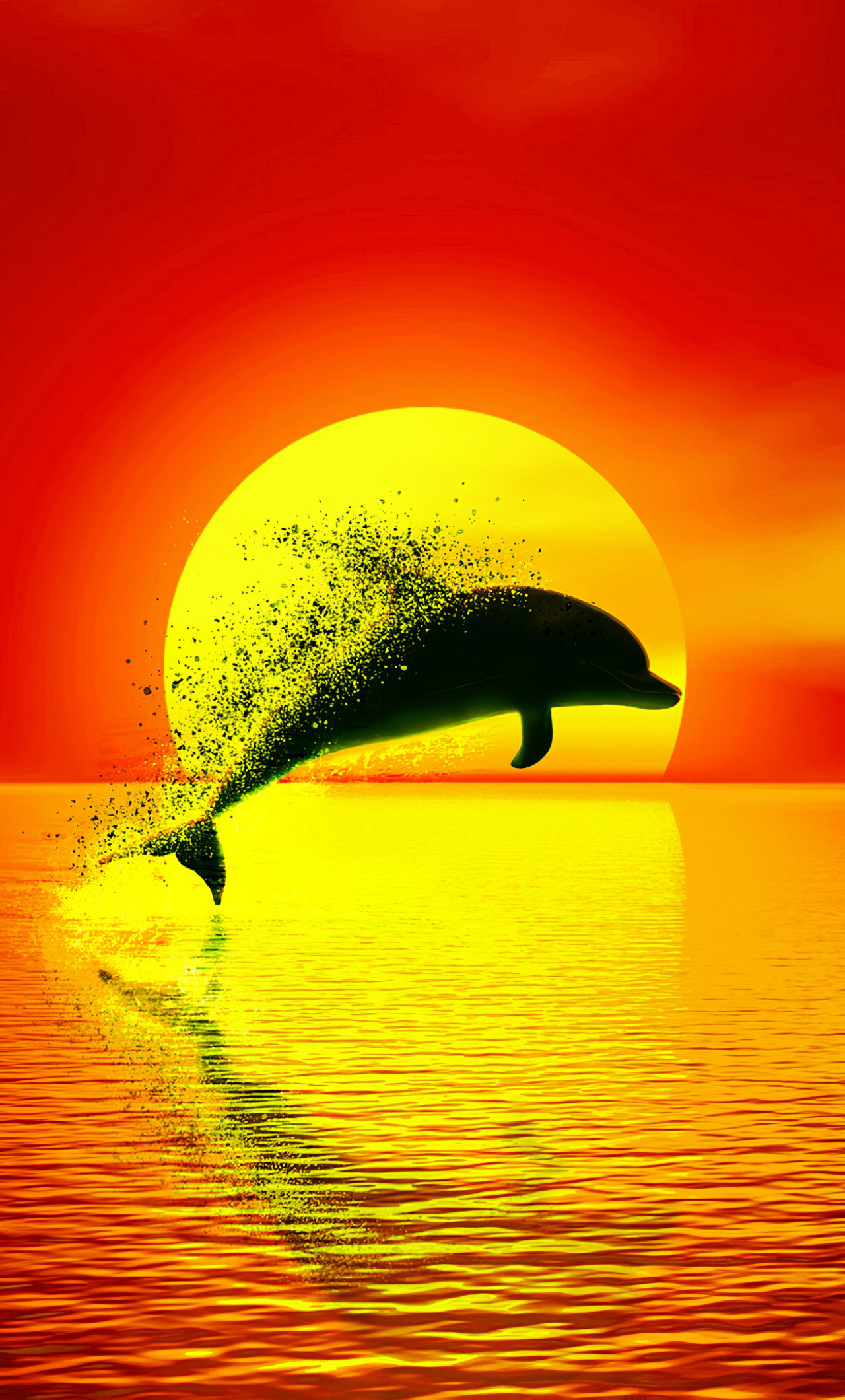 1280x2120 Download wallpaper  dolphin, Phone