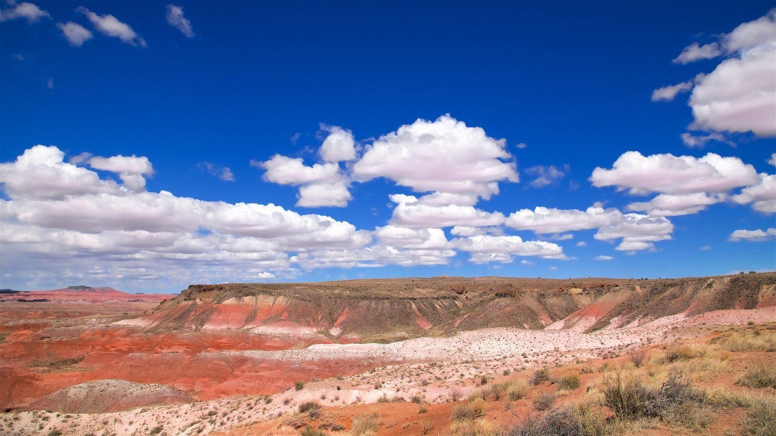 1600x900 Landscape Picture: View Image of Petrified Forest National Park, Desktop