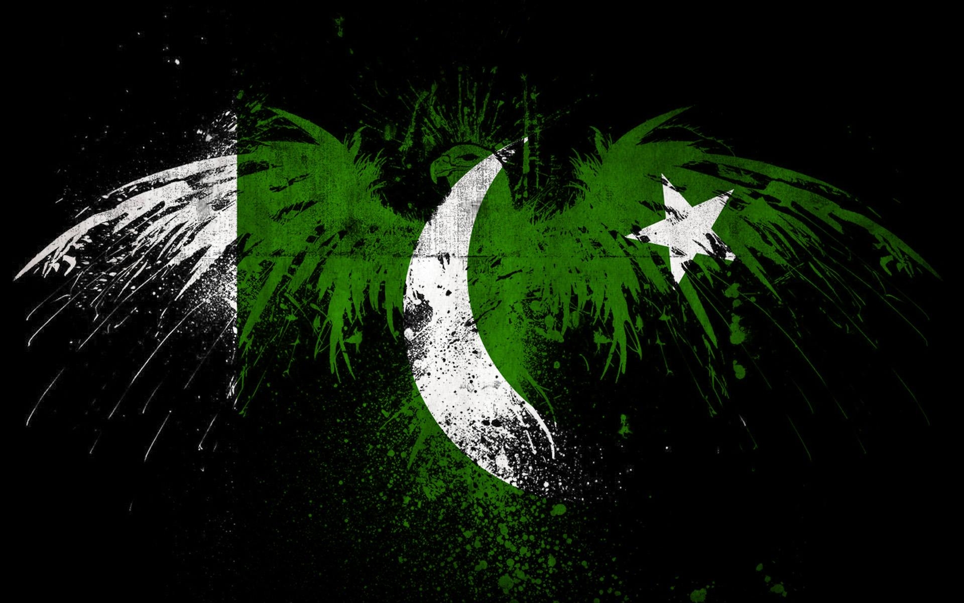 1920x1200 Pakistan Flag in Eagle Shape HD Wallpaper. HD Latest Wallpaper, Desktop