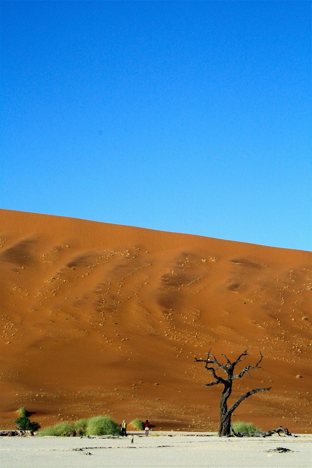 1000x1500 Sossusvlei Sand Dunes, Namib Naukluft Park, Namibia Picture, Phone