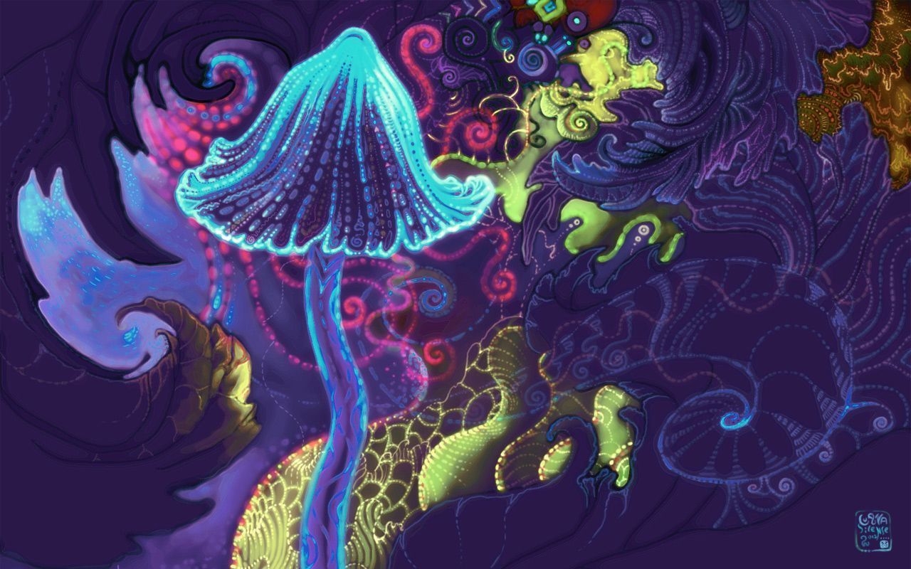 1280x800 Magic Mushroom Wallpaper, Desktop