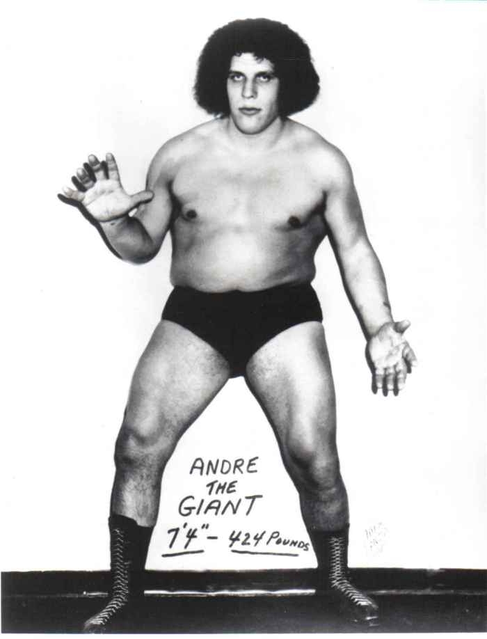 700x920 PROVING THAT SIZE DOES MATTER. WRESTLING LEGEND ANDRE THE GIANT, Phone