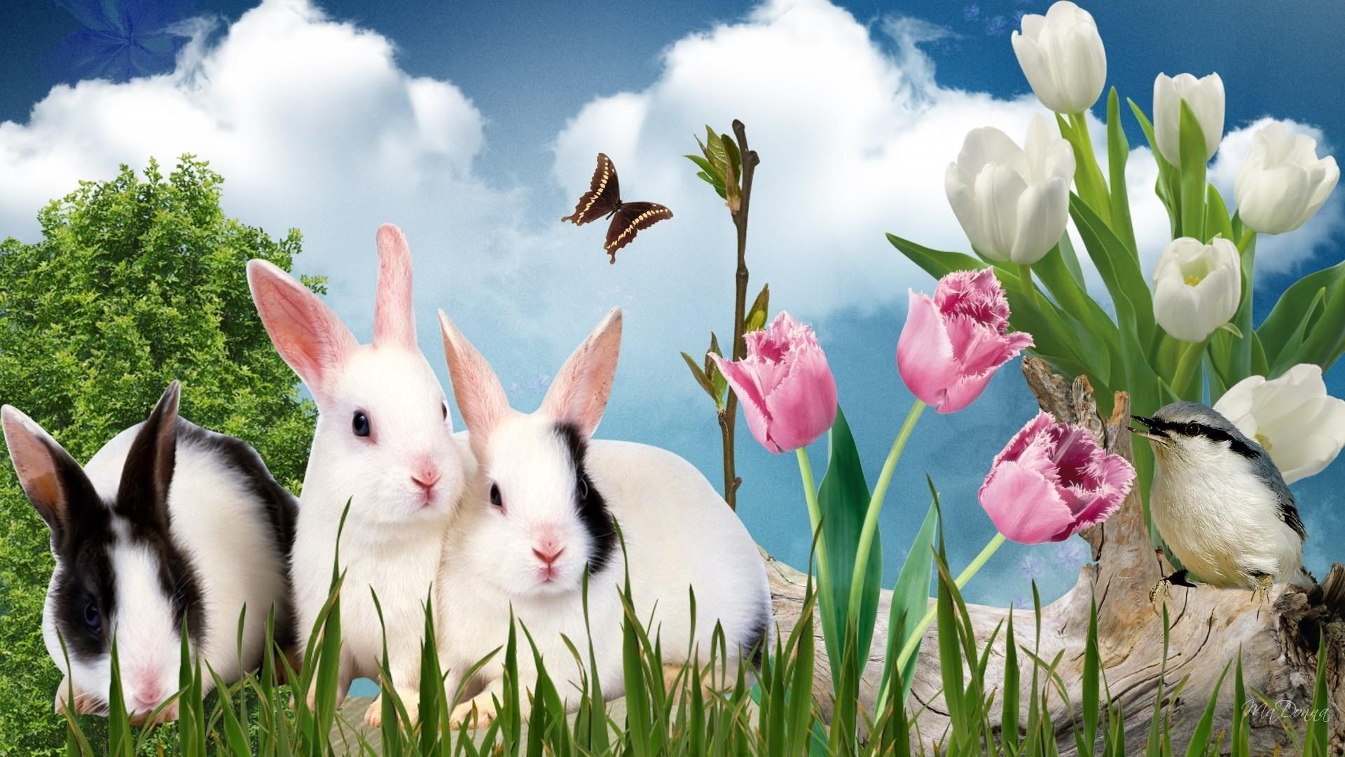 1920x1080 free picture easter. Bunny wallpaper, Facebook cover image, Spring desktop wallpaper, Desktop