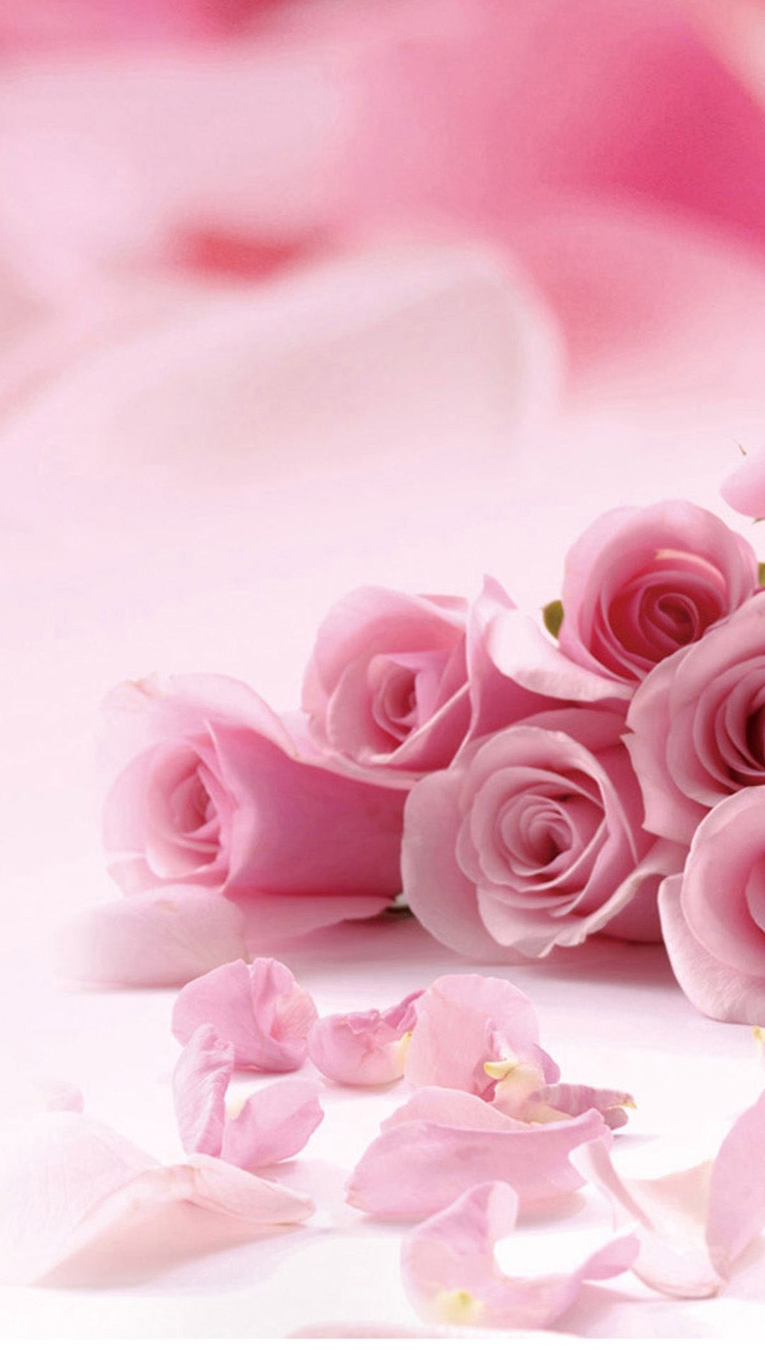 1080x1920 Wallpaper With Pink Roses And Petals For iPhone Flower, Phone