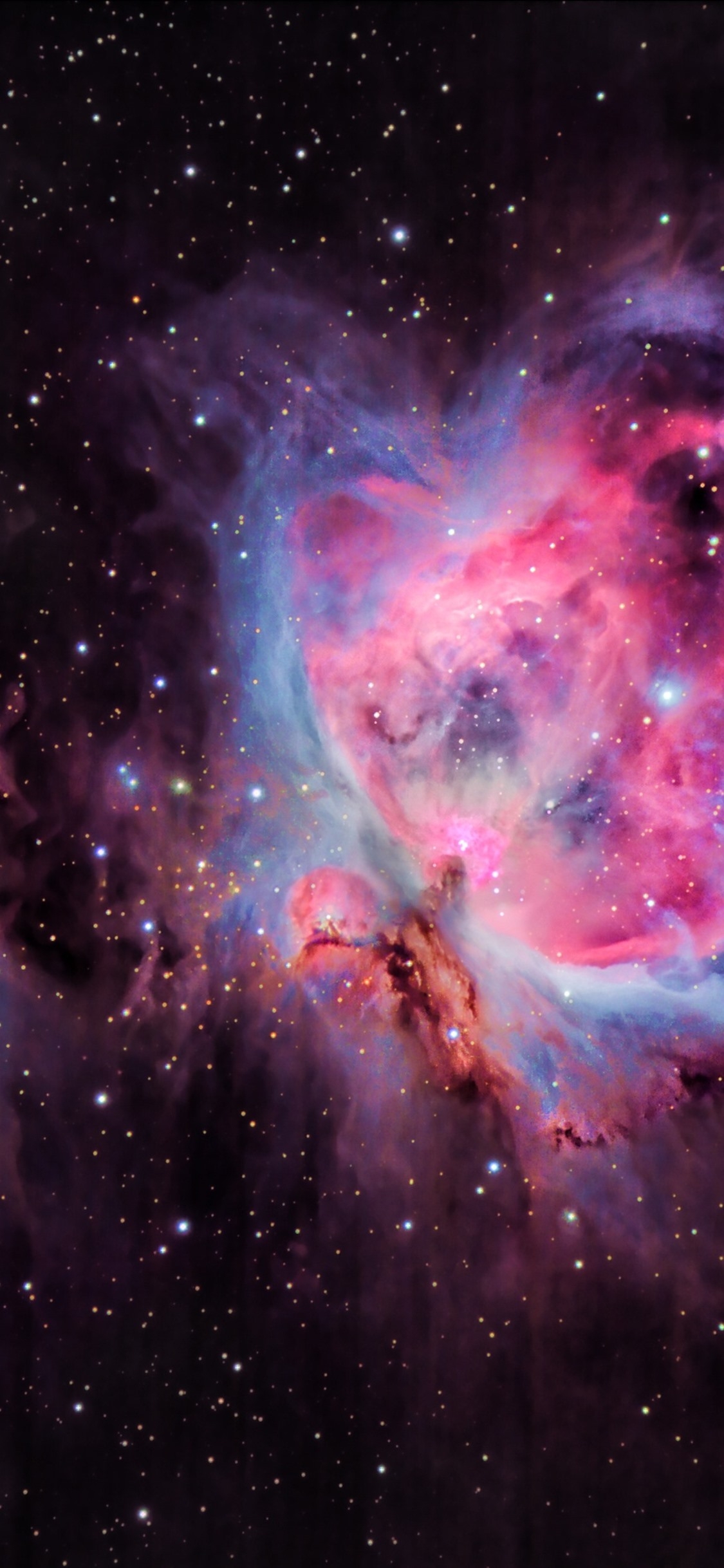 1130x2440 Orion Nebula, Stars, Purple Space  IPhone 11 Pro XS X Wallpaper, Background, Picture, Image, Phone