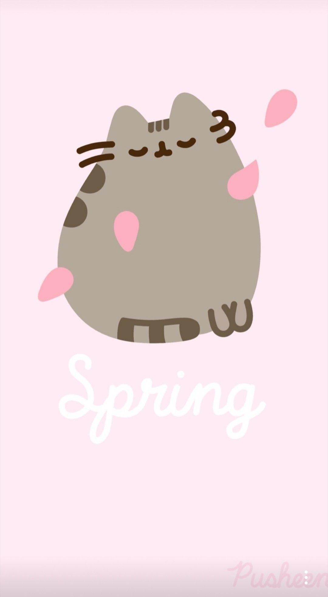 1080x1970 pusheen #spring #flower #cat #pusheenthecat. Pusheen cute, Phone