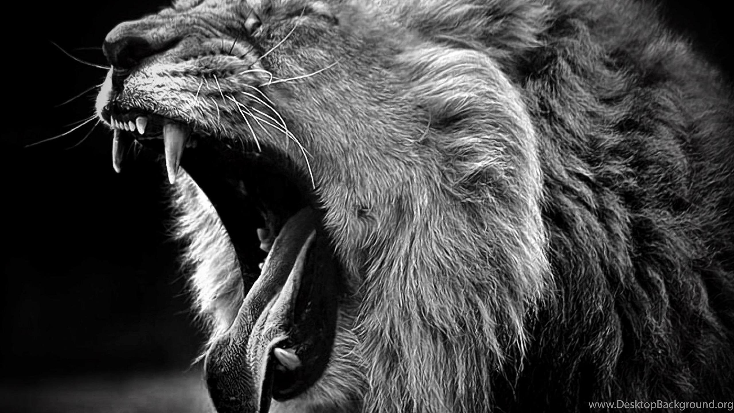 2560x1440 Lion Roar Wallpaper HD Resolution Desktop Background, Desktop