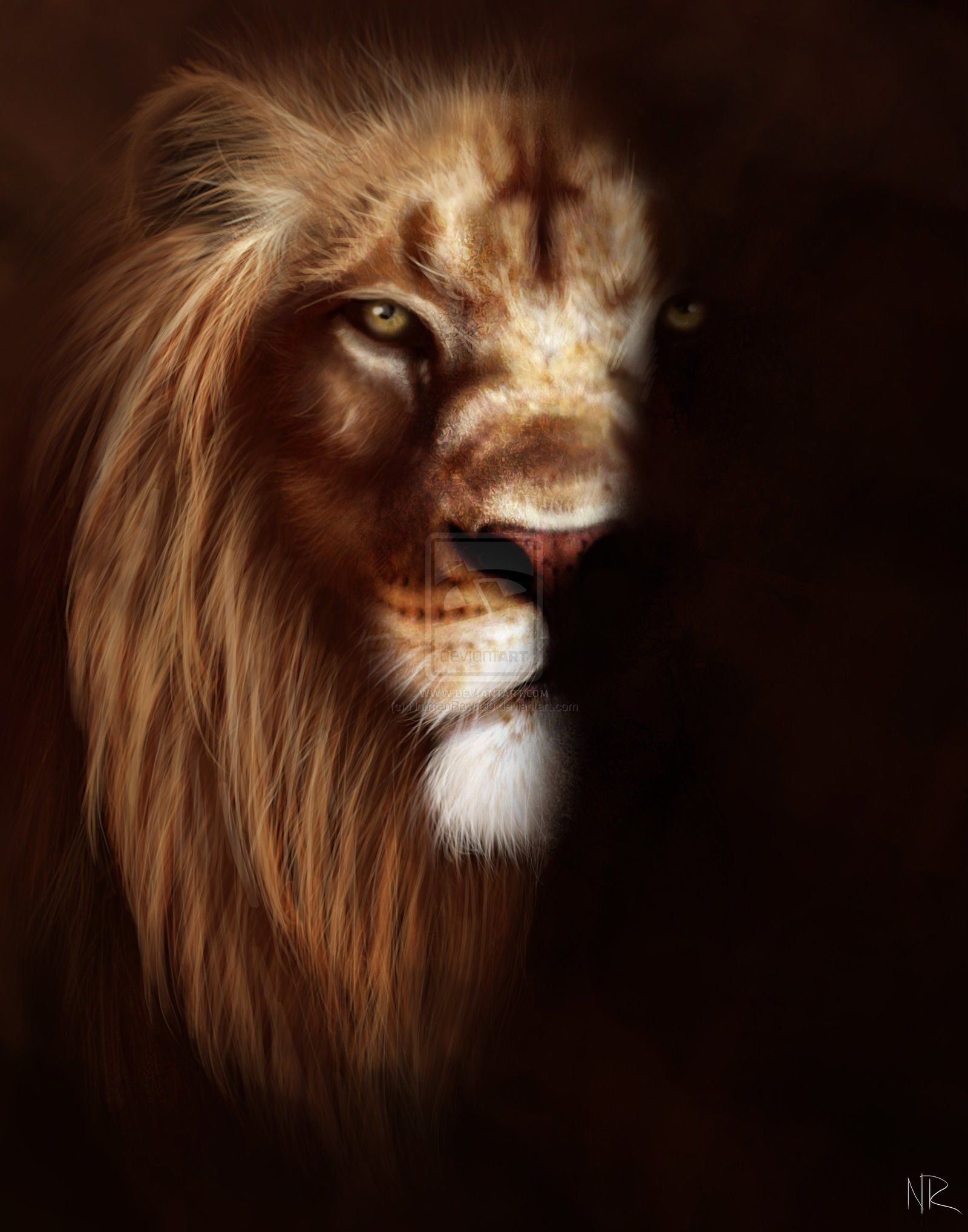 1600x2040 Lion Face Roar Wallpaper, Phone