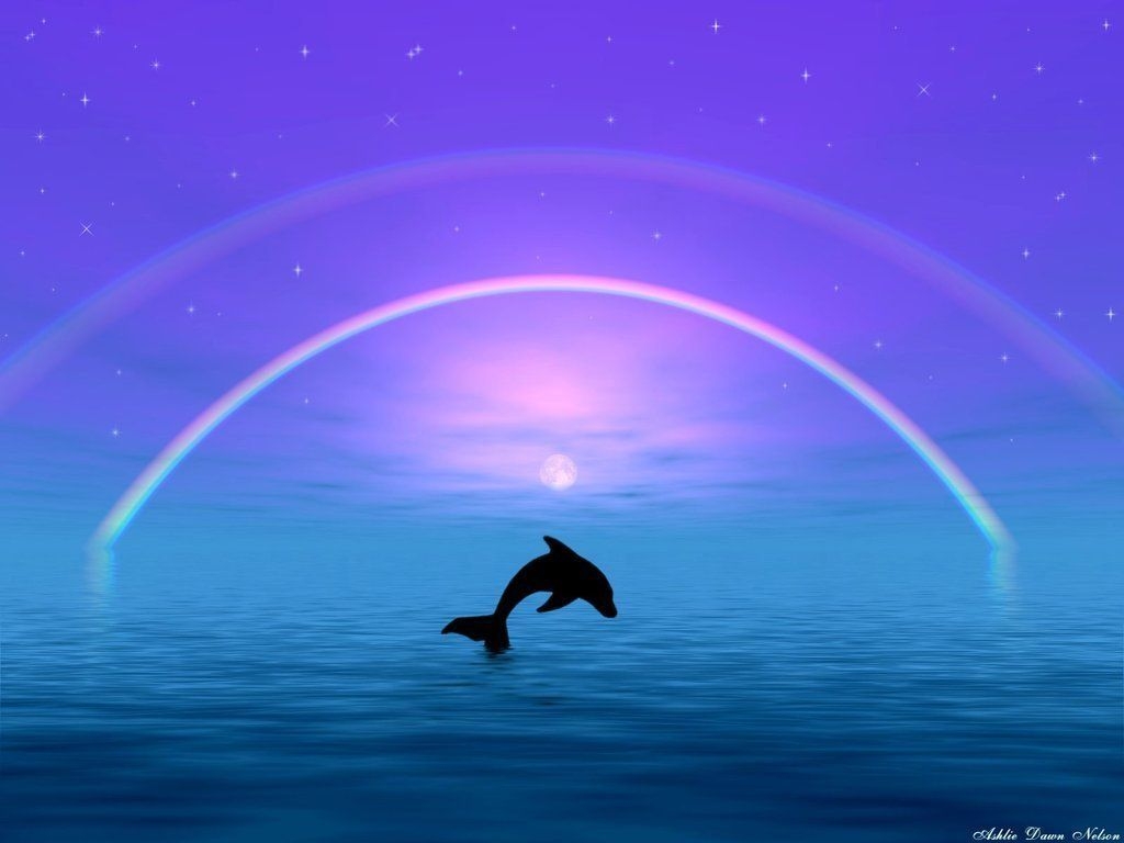 1030x770 Cute Baby Dolphins Wallpaper Free Cute Baby Dolphins Background, Desktop