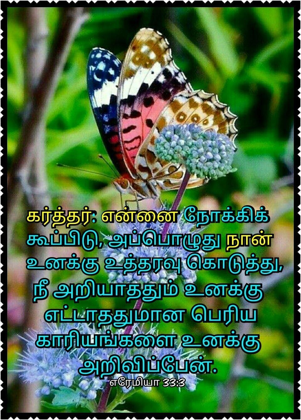 960x1350 Bible Words Wallpaper Tamil HD Quote Tamil for Android, Phone