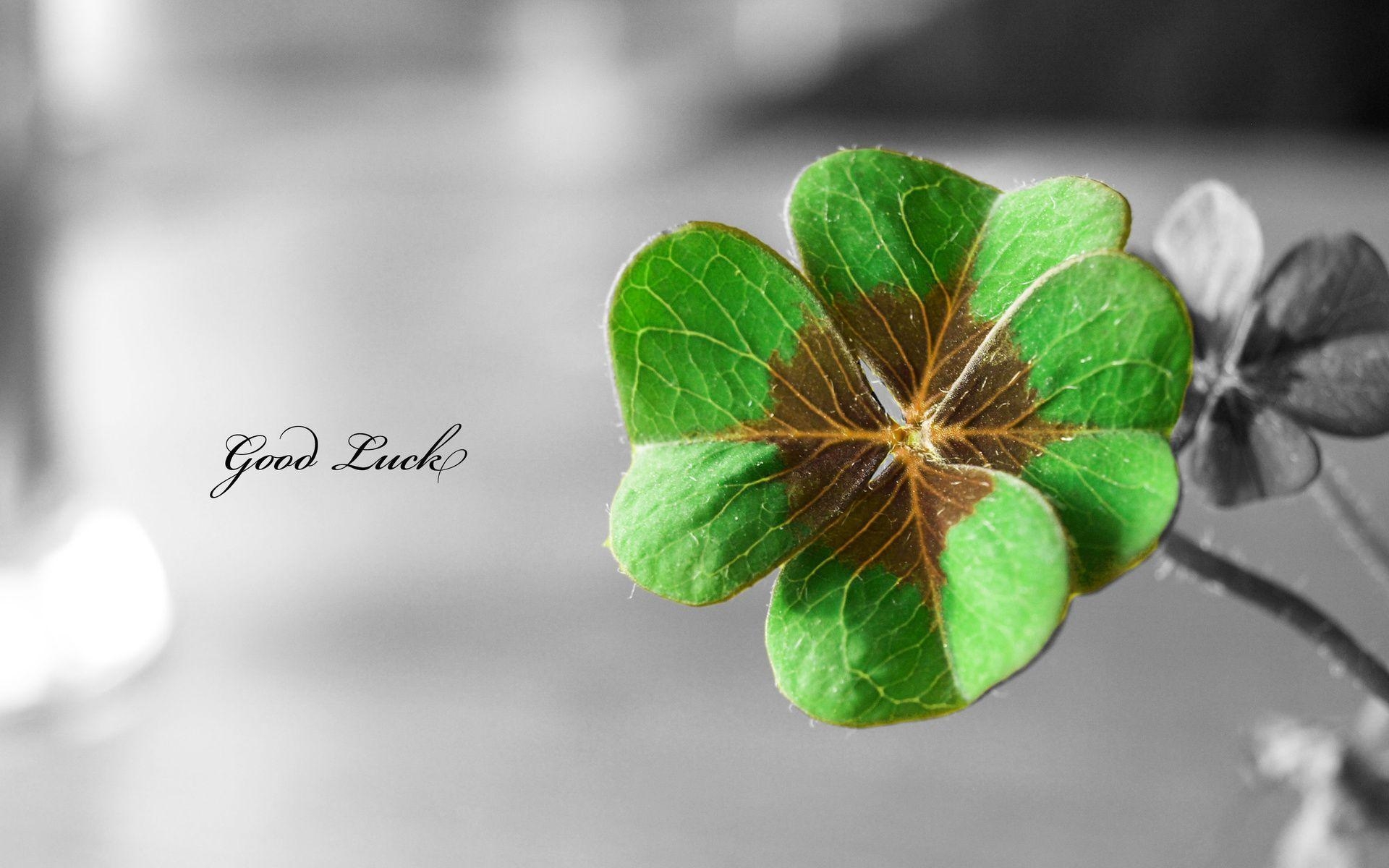 1920x1200 St Patricks Day Wallpaper, Desktop