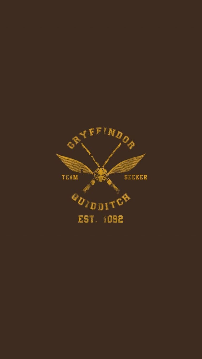 770x1370 Quidditch Harry Potter IPhone Wallpaper. Harry Potter Iphone Wallpaper, Harry Potter Wallpaper, Harry Potter Iphone, Phone