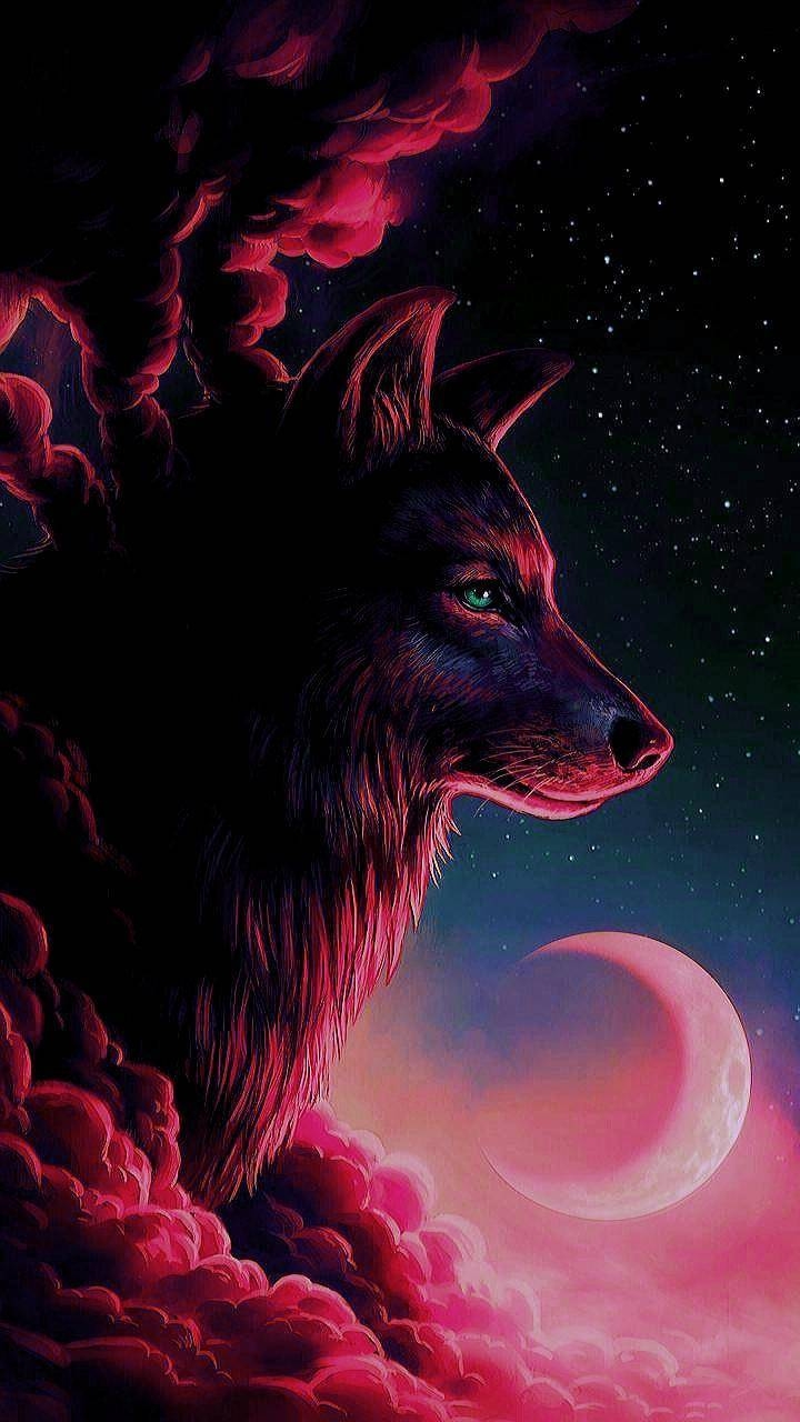 720x1280 red wolf wallpaper, Phone