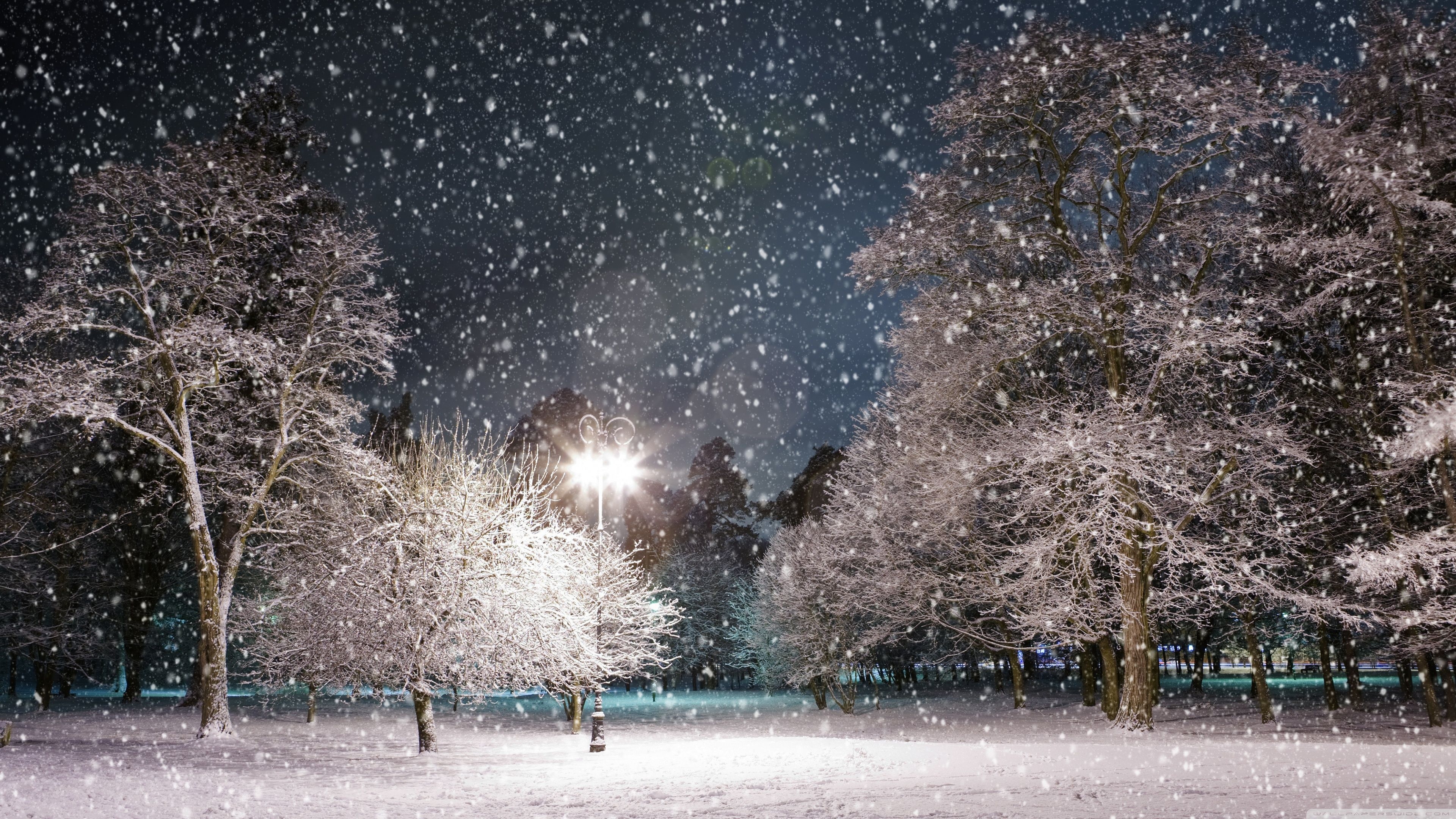 3840x2160 Winter Night Ultra HD Desktop Background Wallpaper for 4K UHD TV, Multi Display, Dual Monitor, Tablet, Desktop