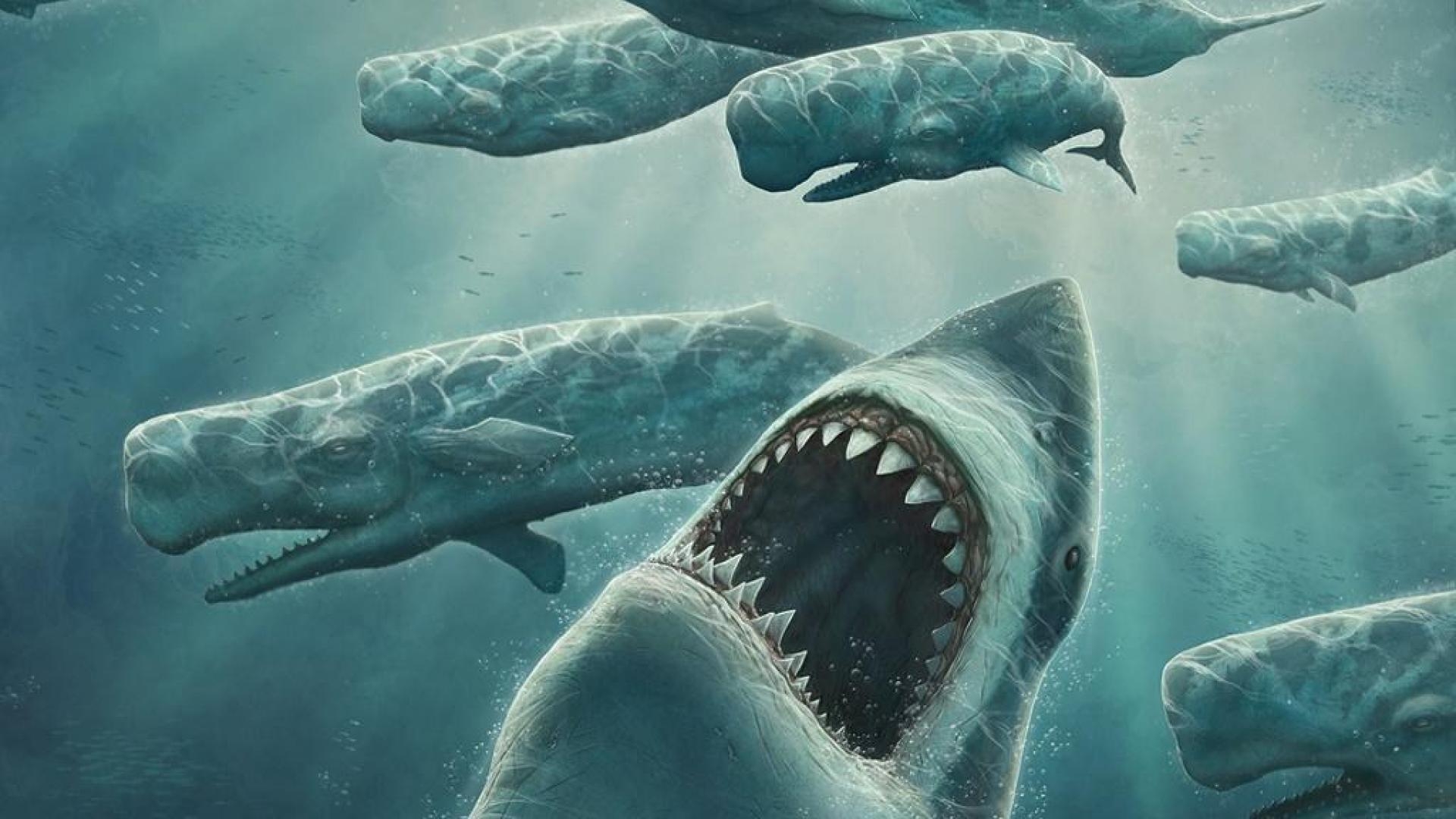 1920x1080 Megalodon, Desktop
