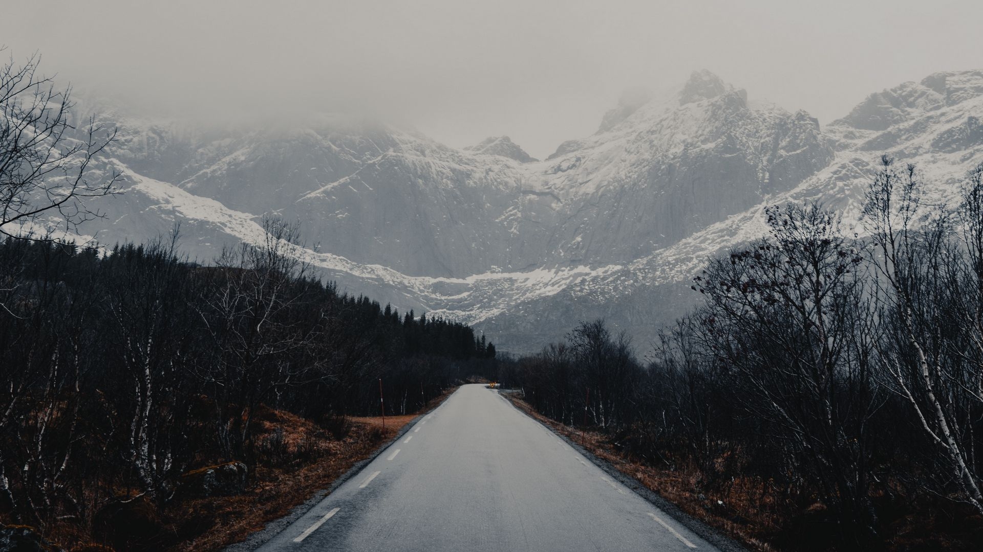 1920x1080 Download wallpaper  road, mountains, trees, asphalt, wet full hd, hdtv, fhd, 1080p HD background, Desktop