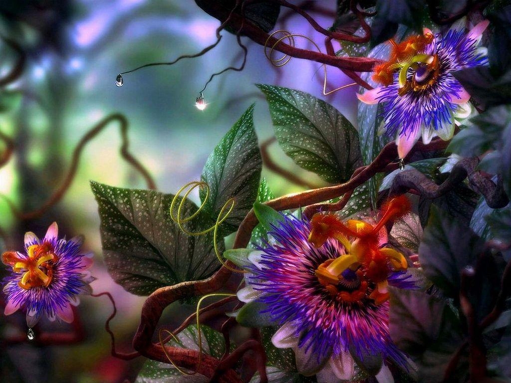 1030x770 Colour Full Wallpaper (Picture), Desktop