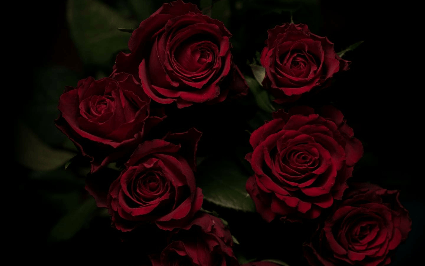 1440x900 Free download Dark Flower Aesthetic Wallpaper Top Dark Flower Aesthetic [1440x2880] for your Desktop, Mobile & Tablet. Explore Dark Aesthetic Wallpaper. Dark Aesthetic Wallpaper, Dark Bomber Aesthetic Wallpaper, Aesthetic Wallpaper, Desktop