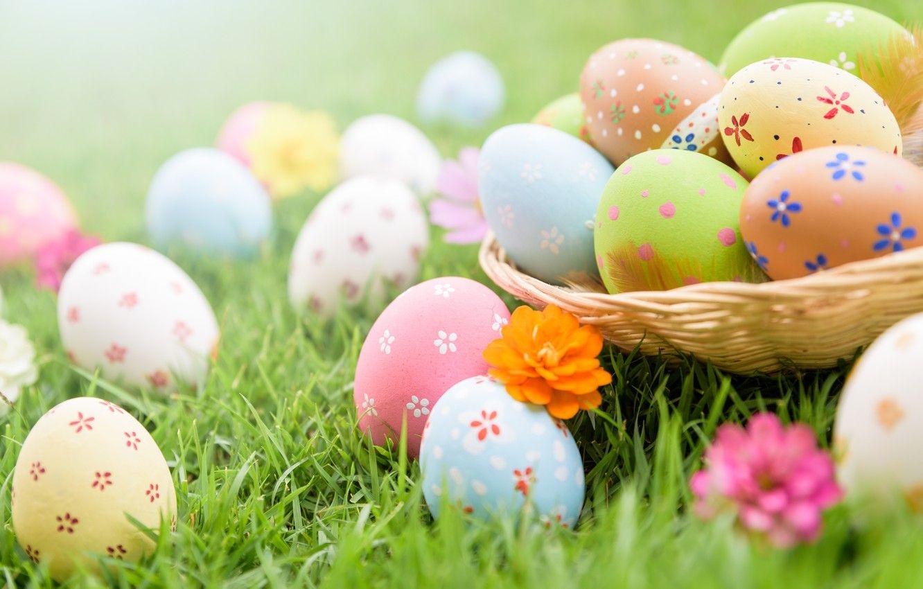 1340x850 Wallpaper grass, flowers, eggs, Easter, spring, Easter, eggs, Desktop