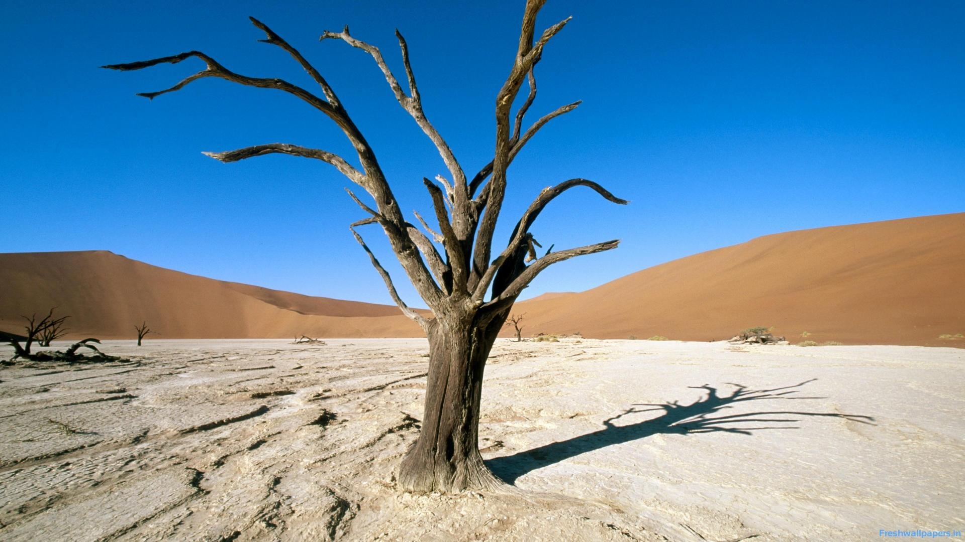 1920x1080 Sossusvlei. Namib Naukluft Park. Namib Desert. Namibia wallpaper, Desktop