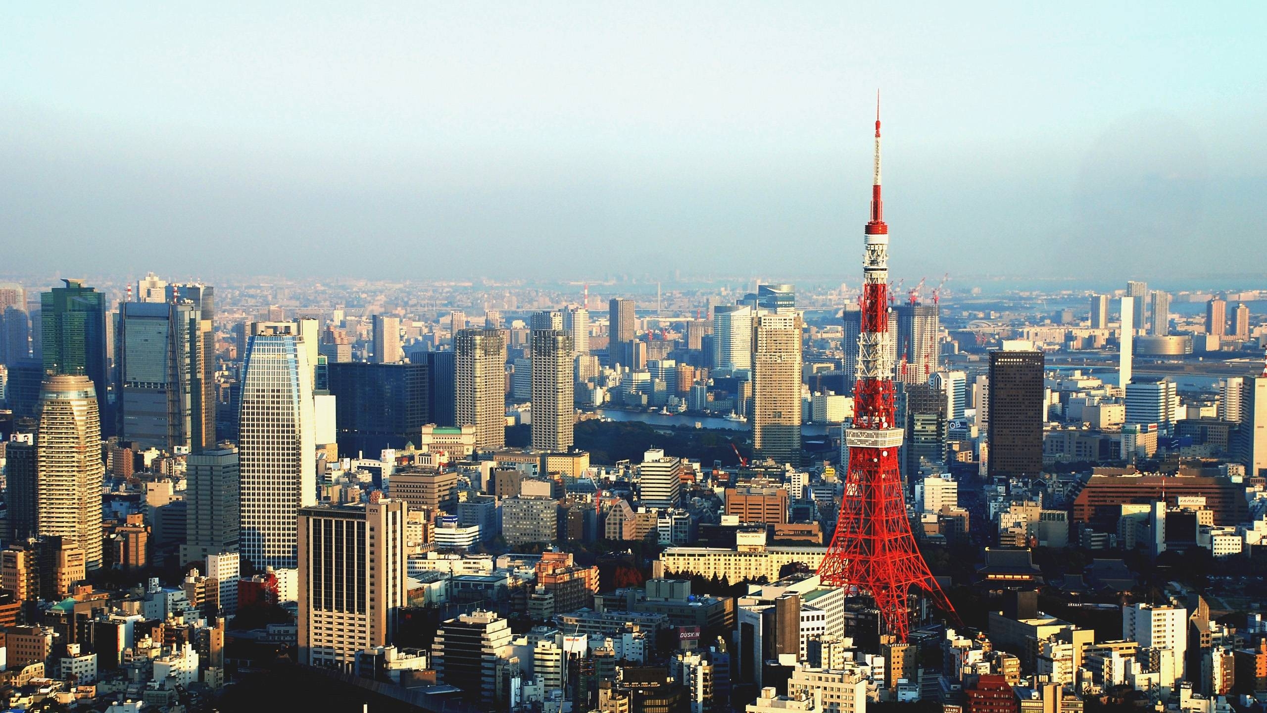 2560x1440 Tokyo Skyline  wallpaper, Desktop