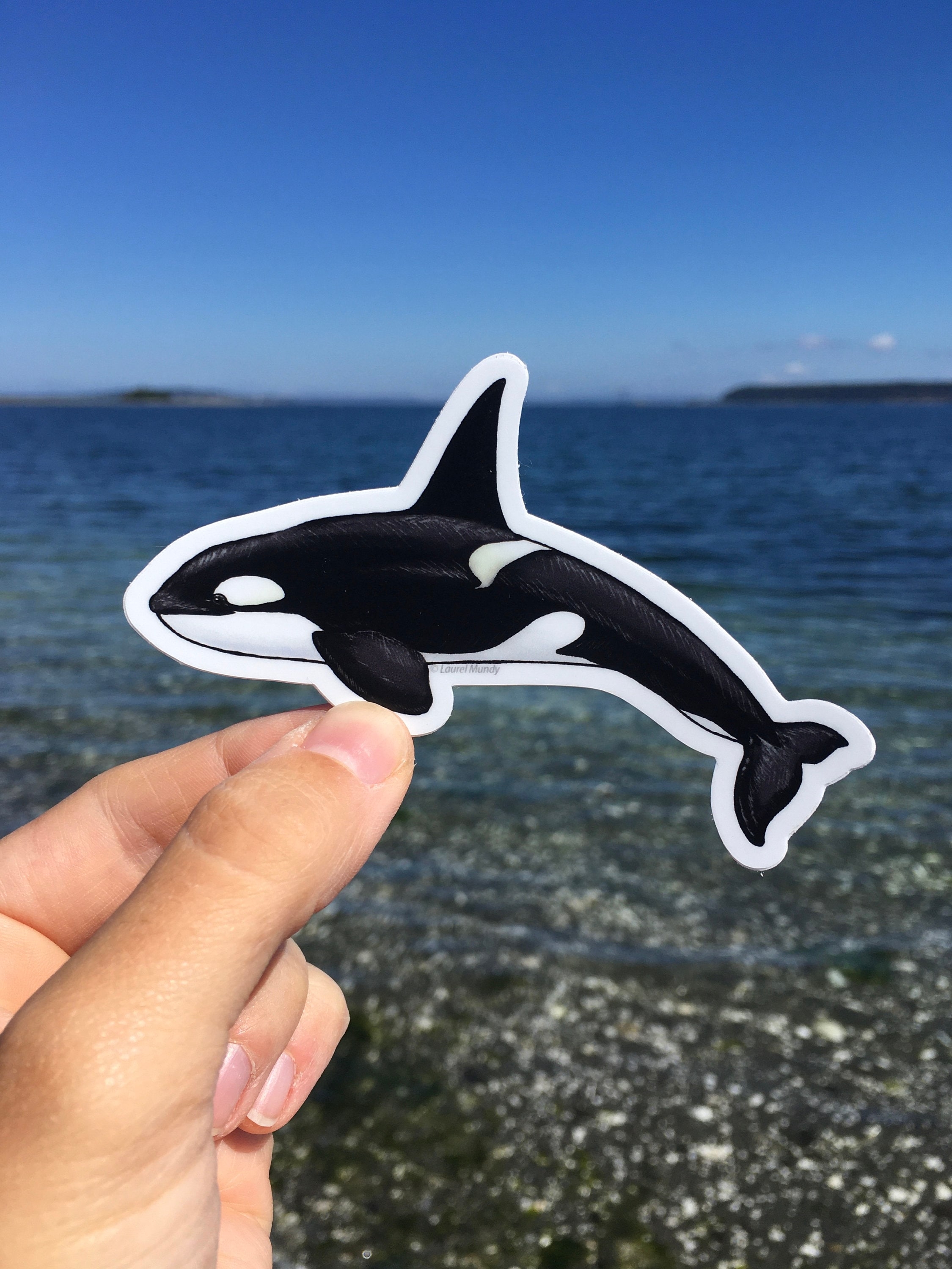 2250x3000 Orca Whale 4 Medium Water Resistant Vinyl Sticker for, Phone