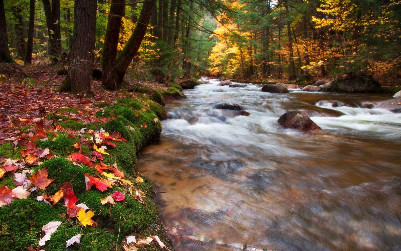 1280x800 Babbling Brook, United States, New Hampshire, White Mountains, Desktop