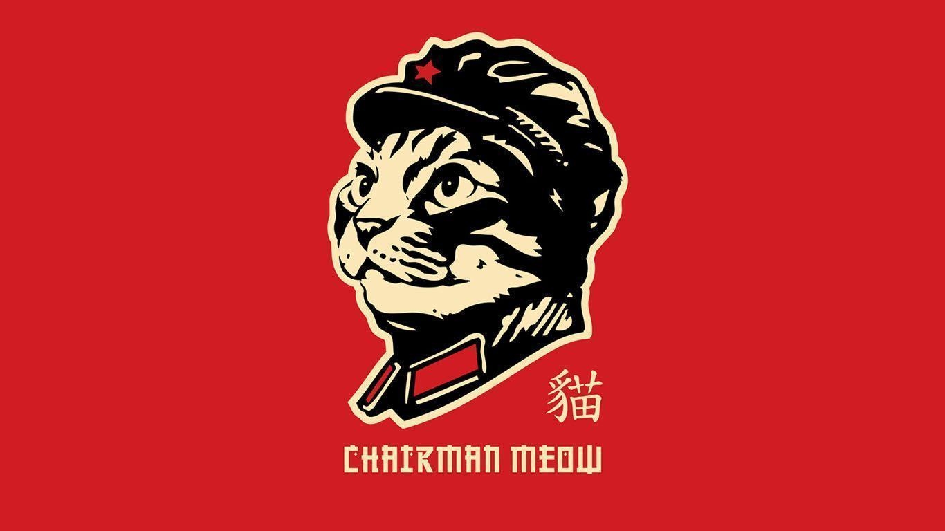 1370x770 Chairman Meow [1366x1768], Desktop