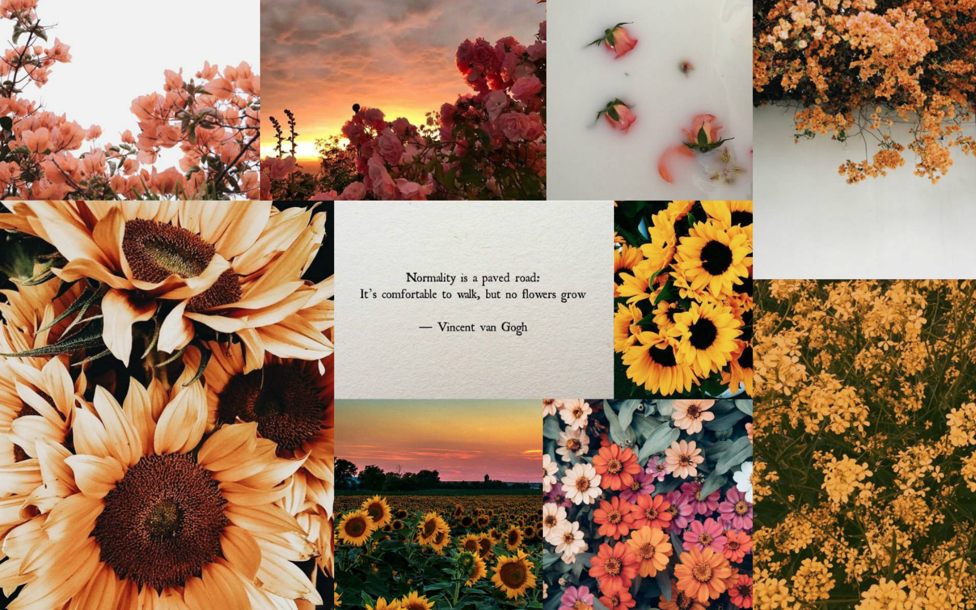 1910x1200 Download Sunflower Spring Aesthetic Wallpaper, Desktop