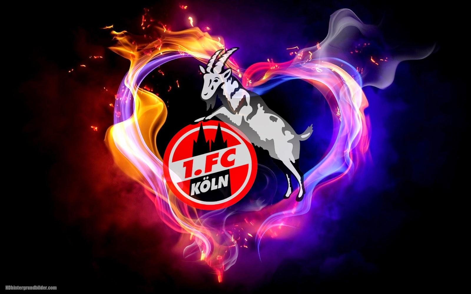 1600x1000 Logo 1. FC Köln hintergrunde, Desktop