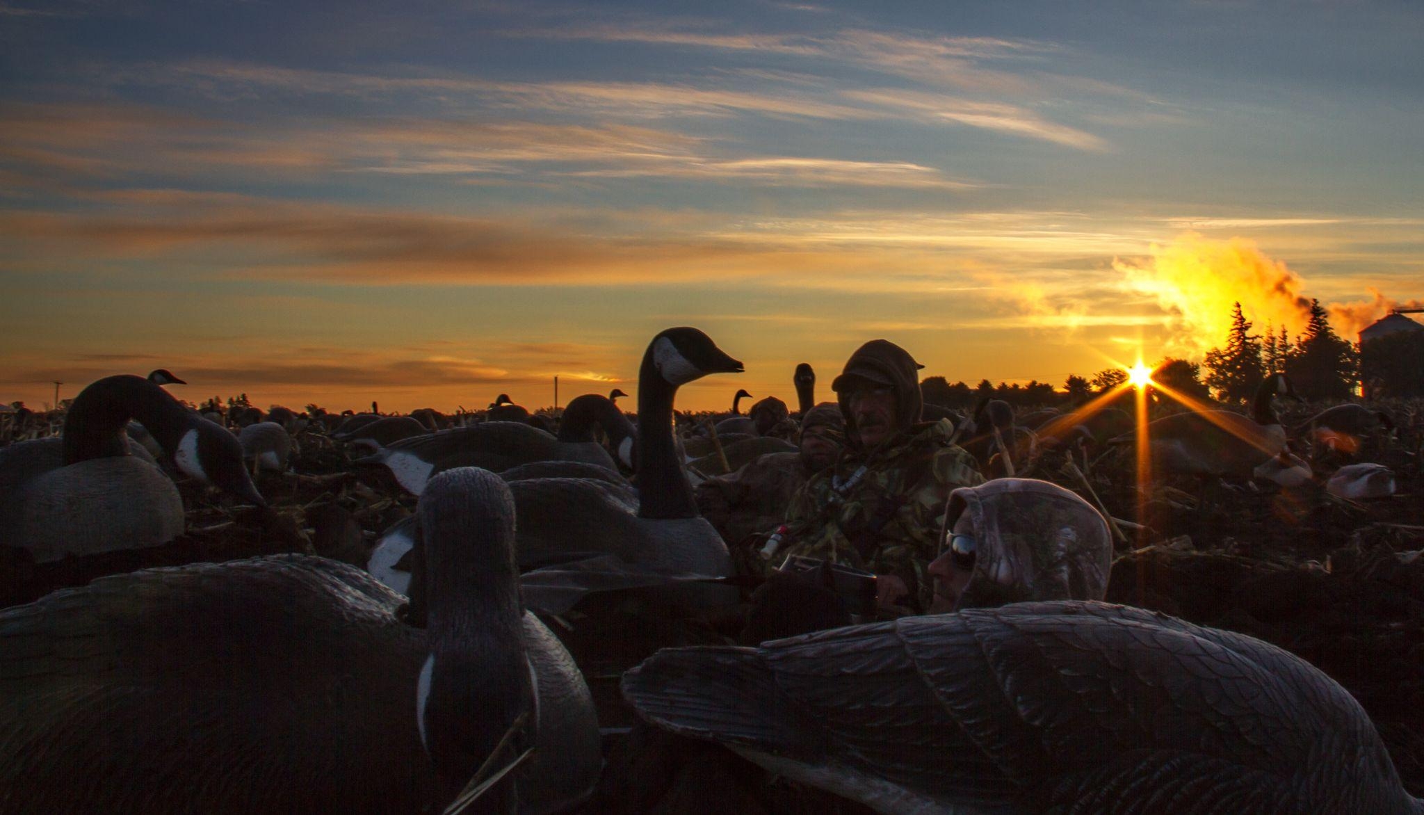 2050x1180 Goose Hunting Wallpaper, Desktop