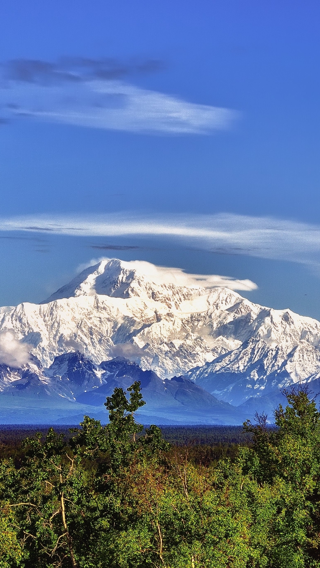 1080x1920 Alaska, Denali National Park, Phone