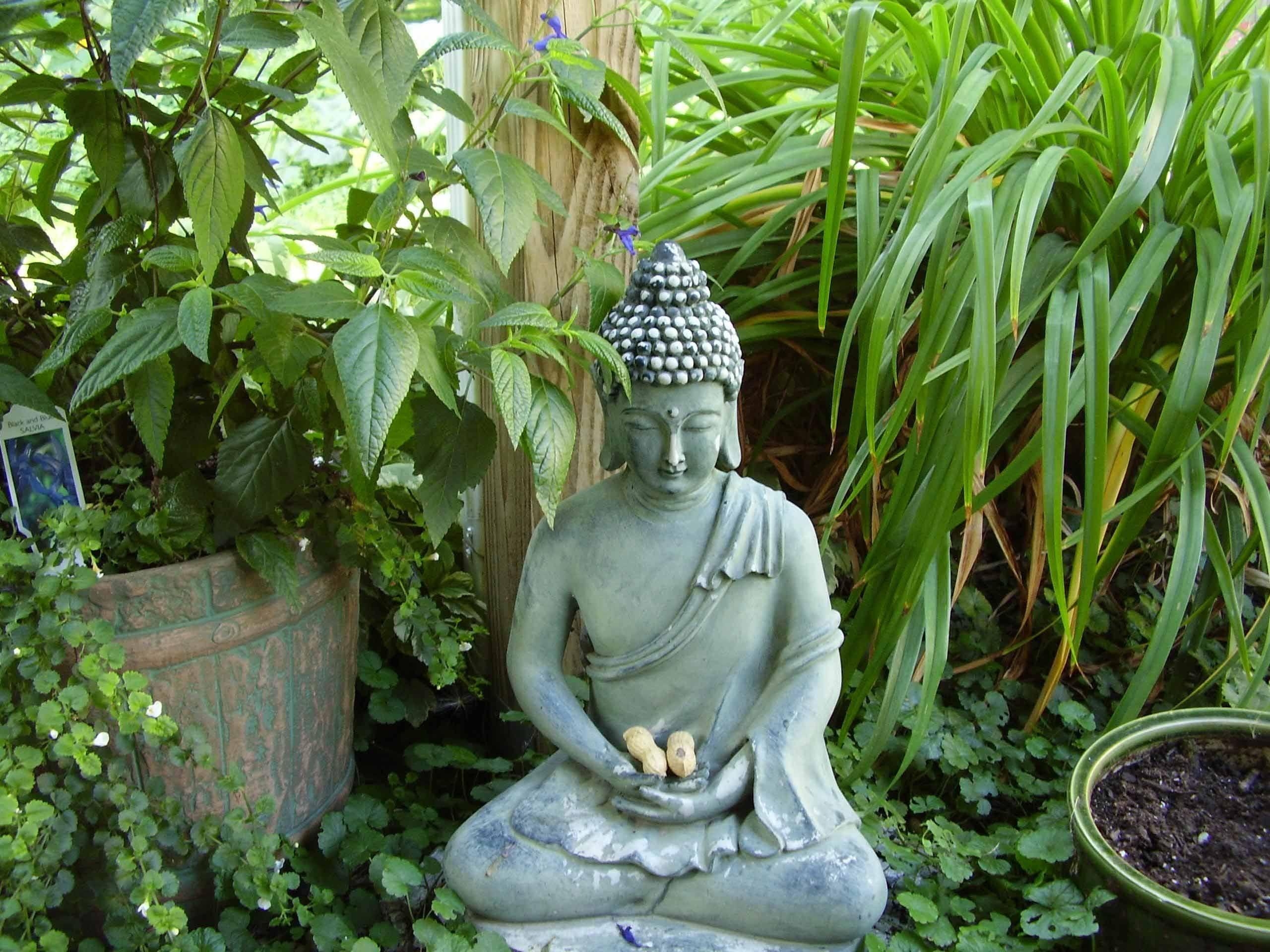 2560x1920 ZEN mood bokeh garden Buddhism religion wallpaperx1920, Desktop