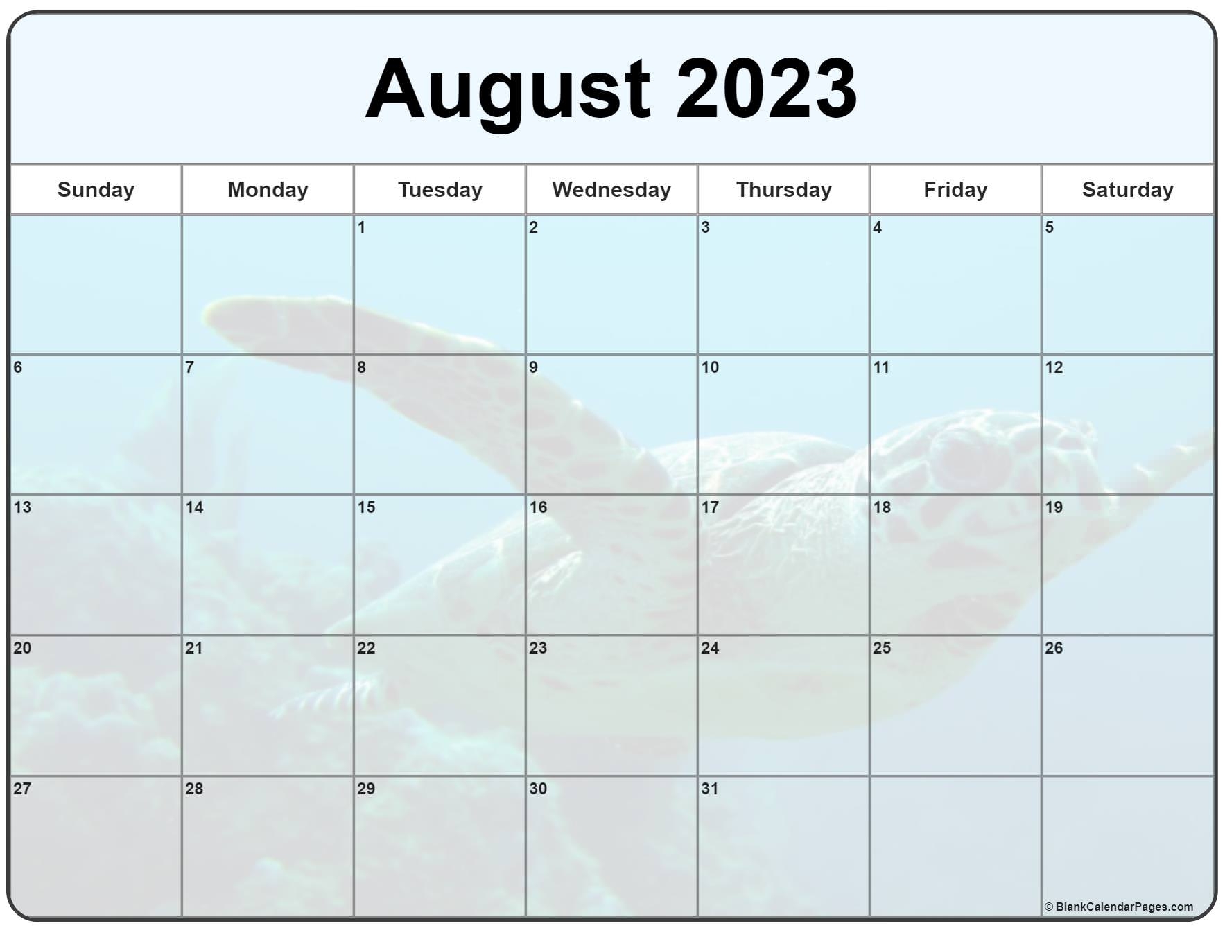 1770x1340 Collection of August 2023 photo calendars with image filters, Desktop