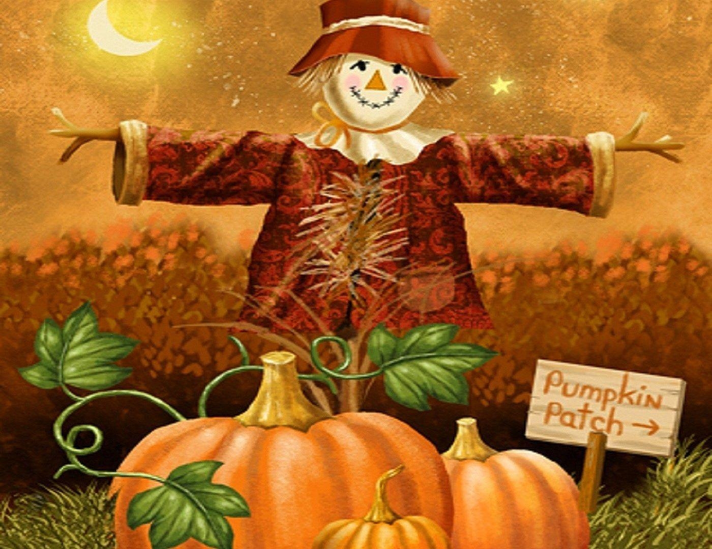 1400x1080 Pumpkin Tag wallpaper: Fall Pumpkins Autumn Pumpkin Patch Harvest, Desktop