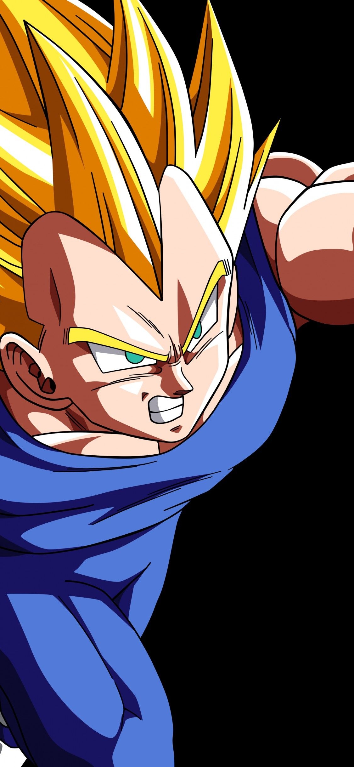 1130x2440 Super Saiyan Vegeta Png.wallpapertip.com, Phone