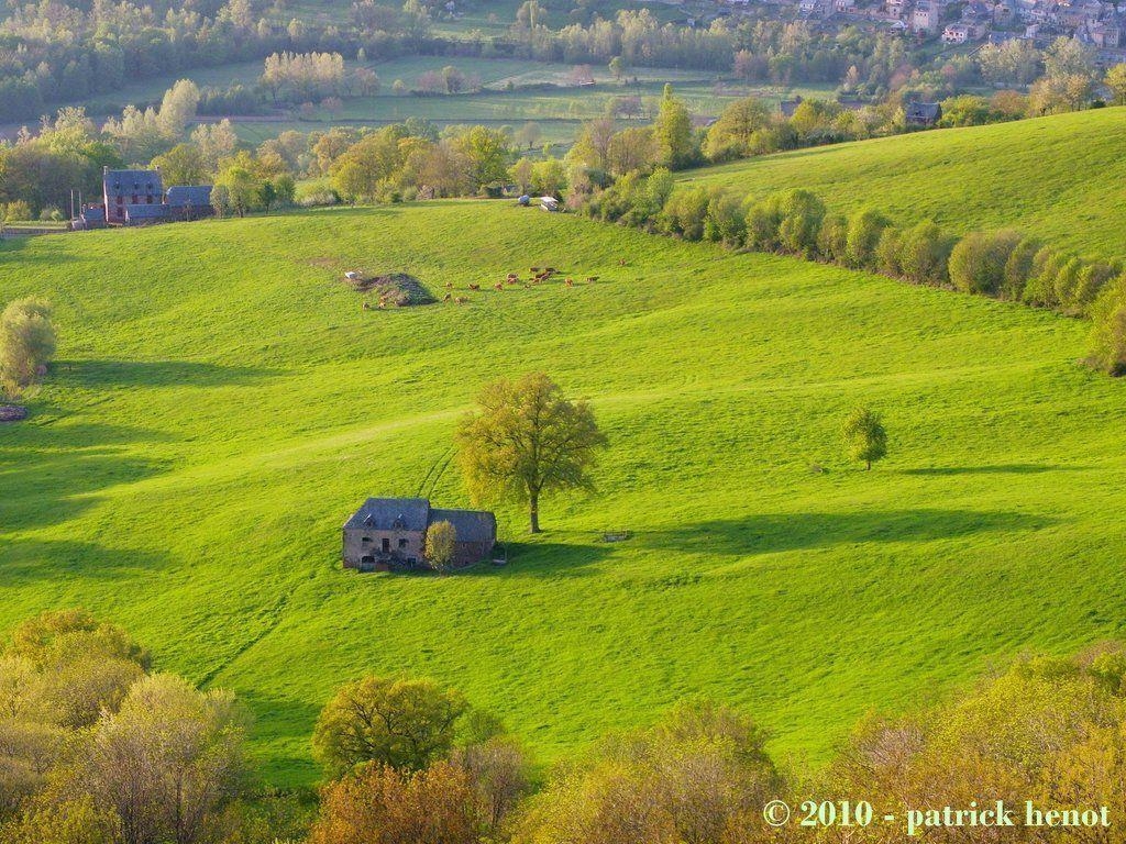 1030x770 Spring Meadow Wallpaper, Desktop