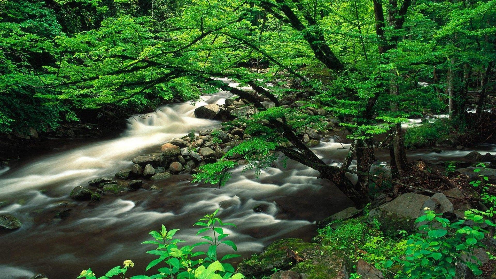 1920x1080 Landscapes Tennessee National Park Great Smoky Mountains wallpaper, Desktop