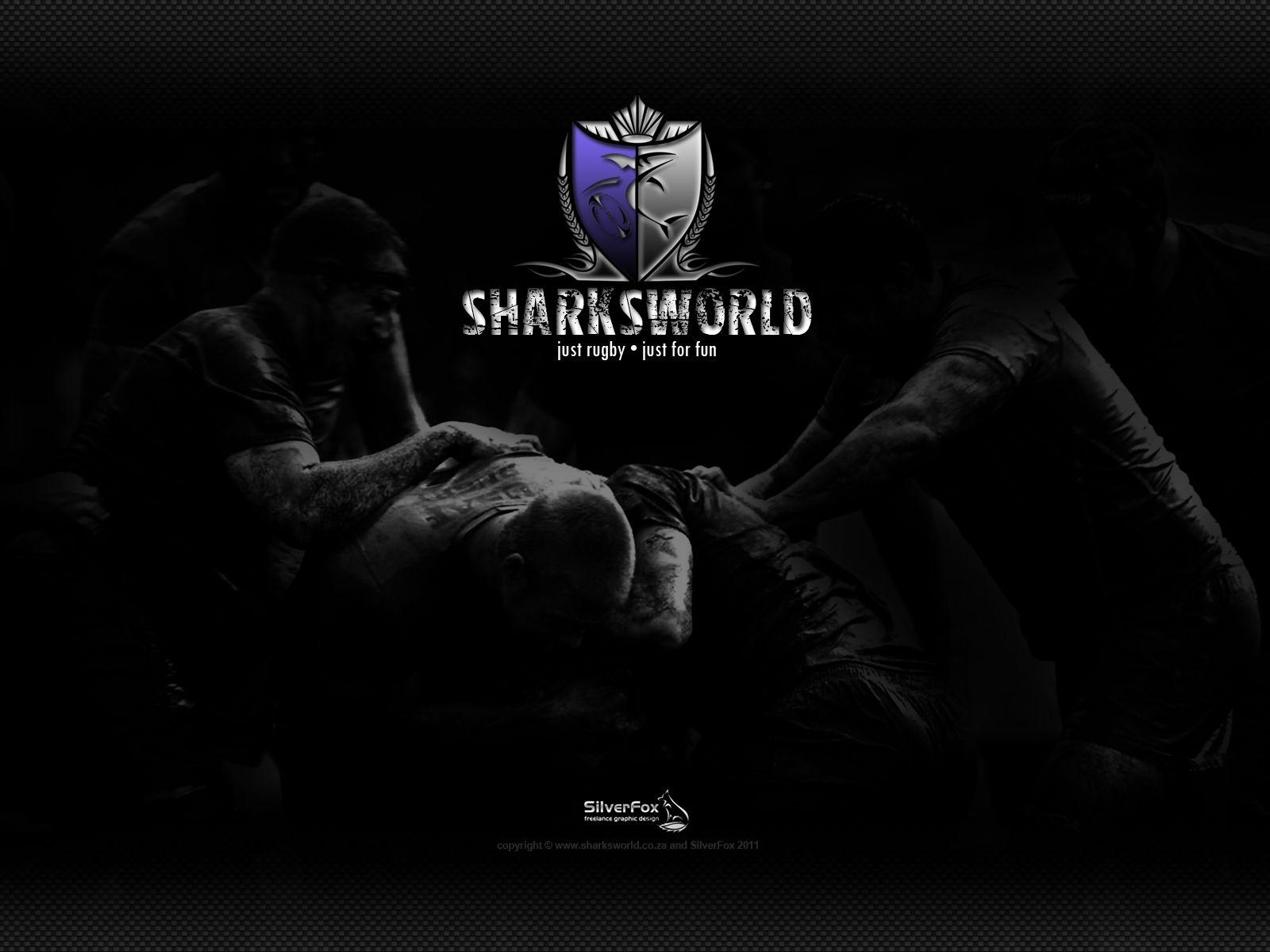 1600x1200 Sharksworld Blog Archive New Sharksworld wallpaper, Desktop