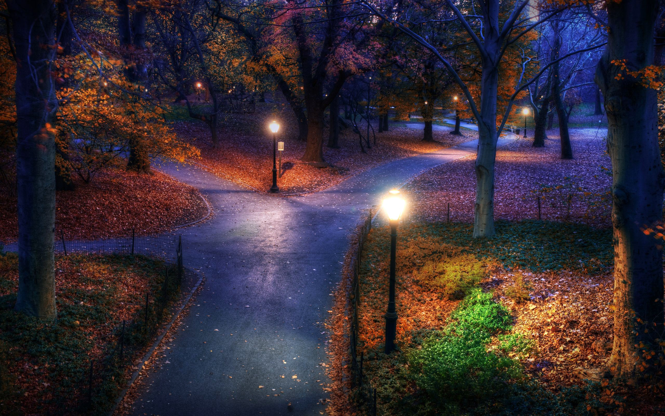 2560x1600 3D Fall Wallpaper, Desktop