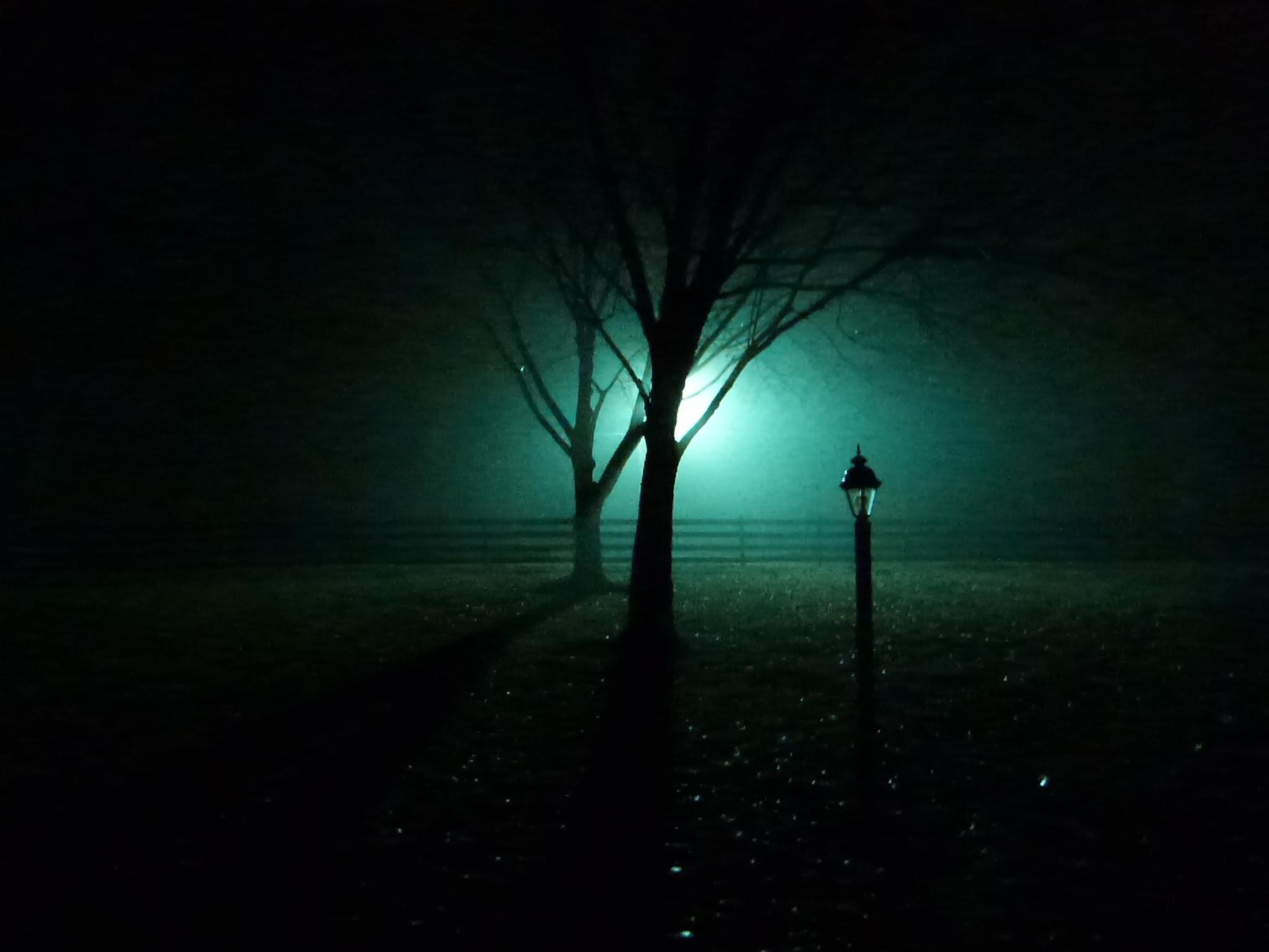 2050x1540 Foggy Night [], Desktop