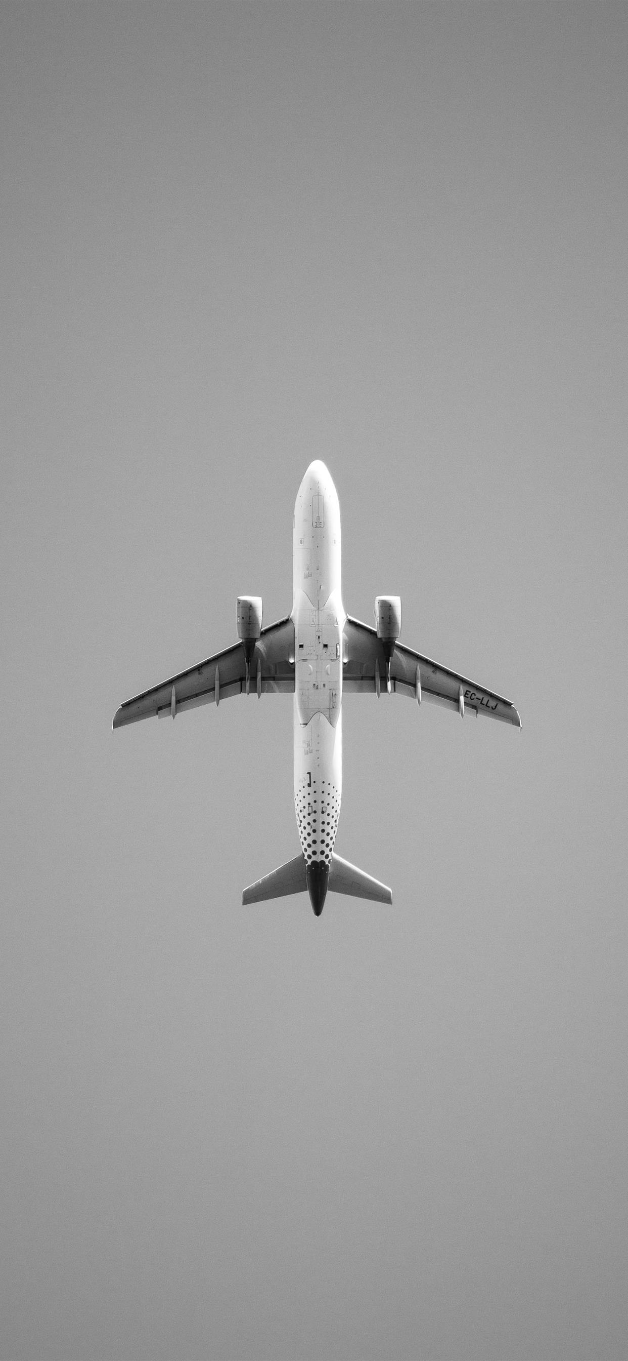 1250x2690 Just a plane iPhone X Wallpaper Free Download, Phone