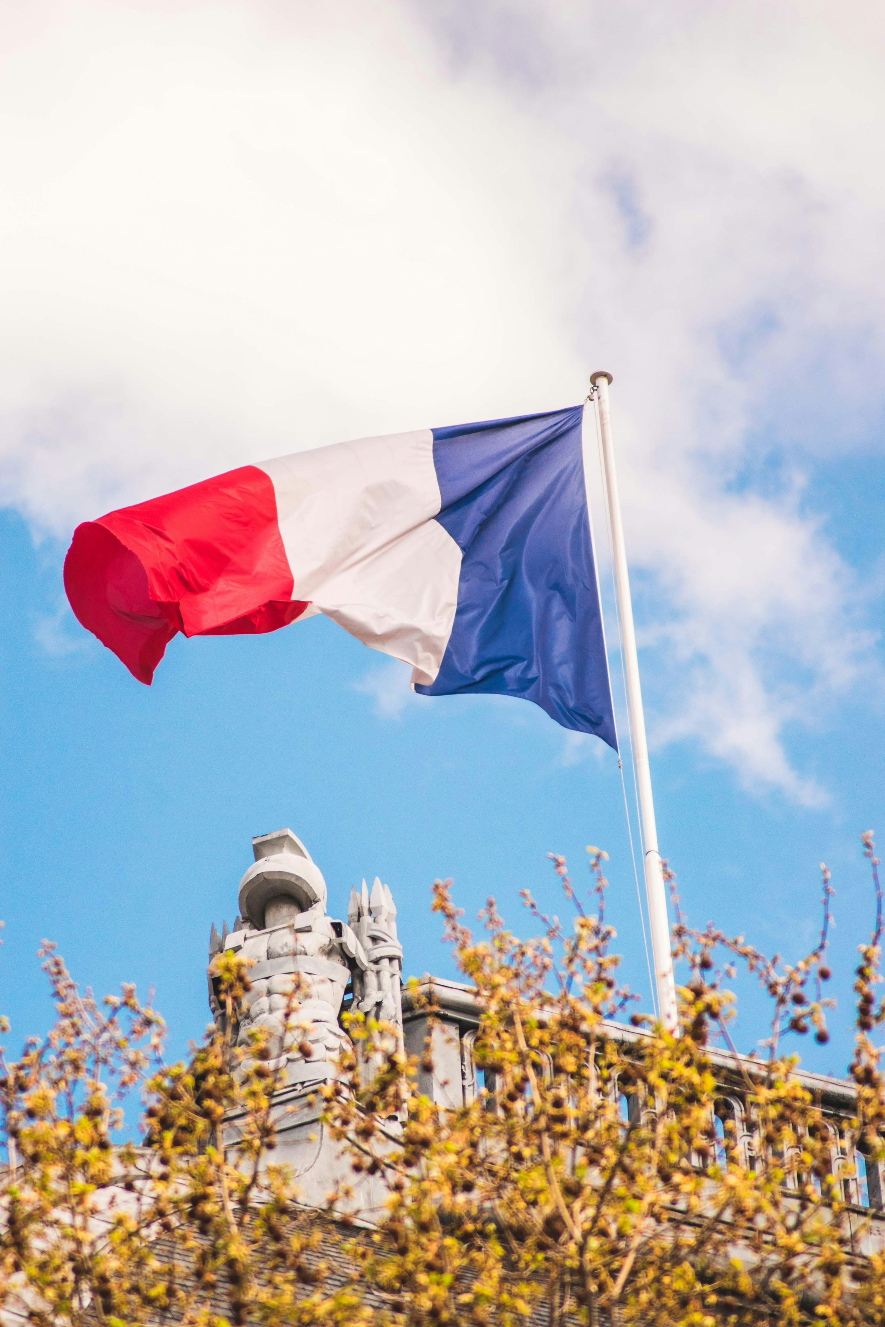 3000x4500 Download Free French Flag Picture HD, Phone