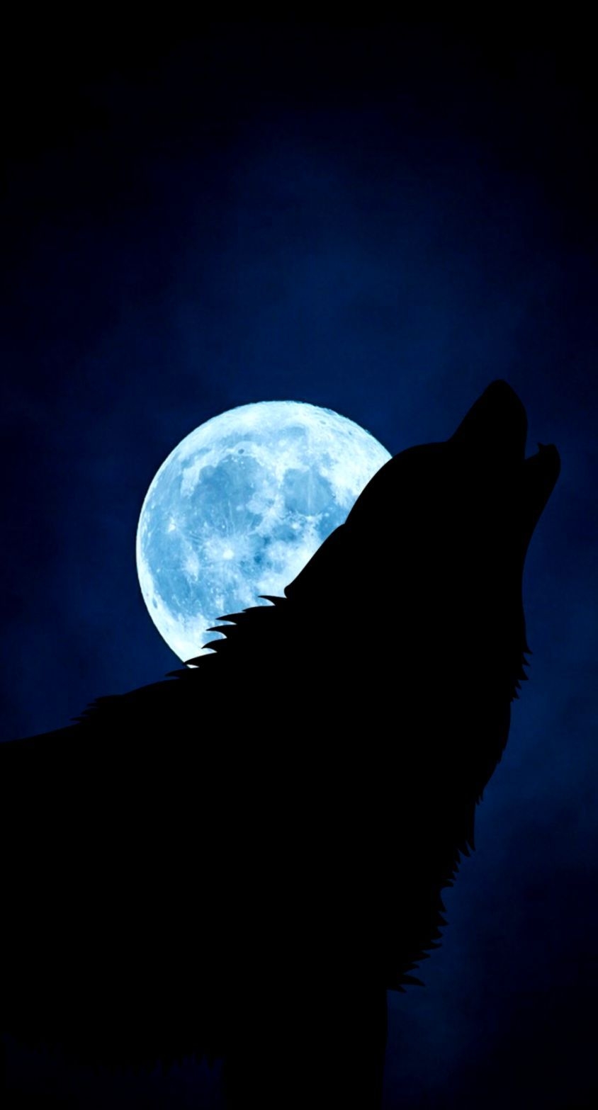 850x1570 Download Wallpaper Wolf Silhouette Moon Night iPhone, Phone