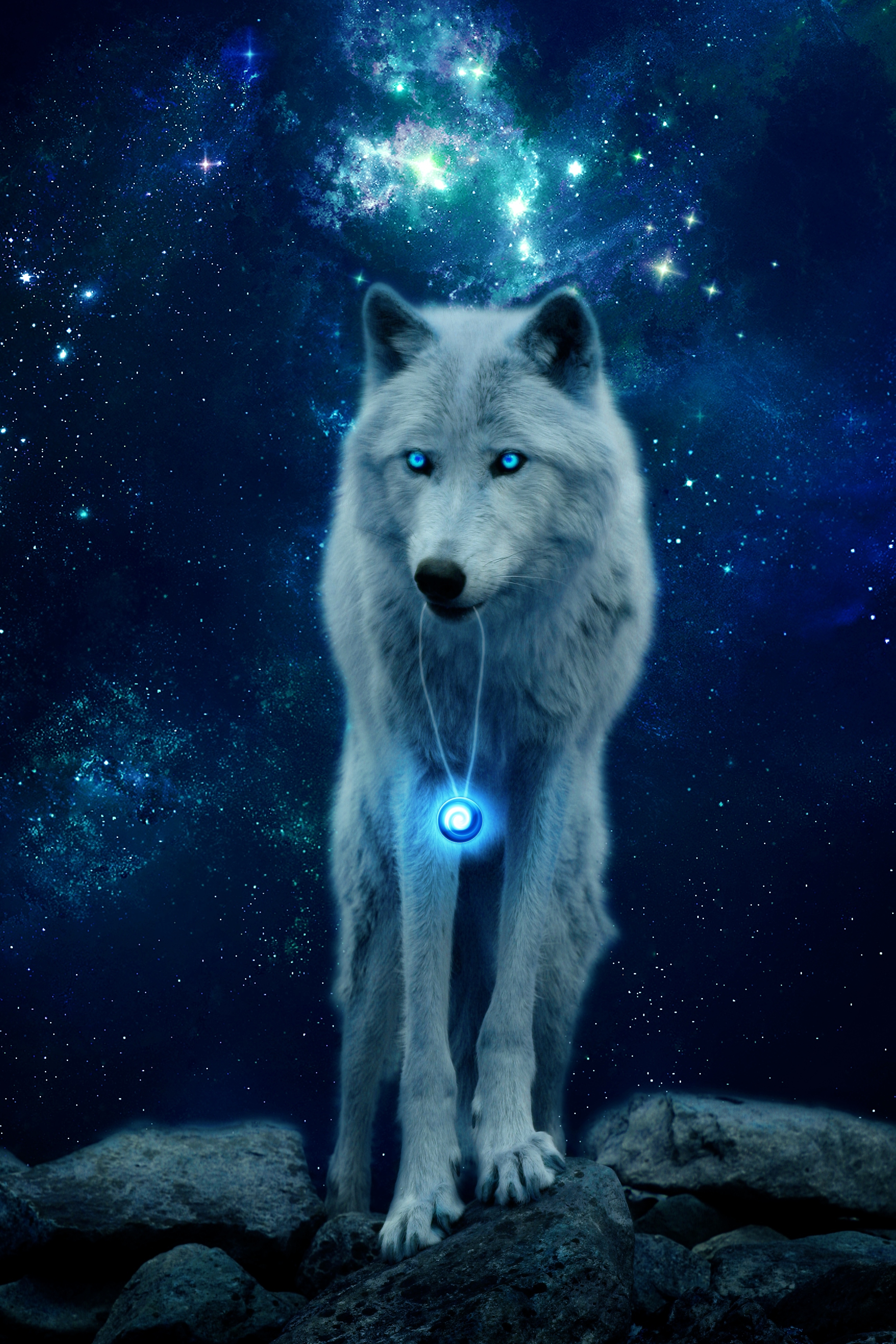 2600x3890 Download Wolf wallpaper for mobile, Phone