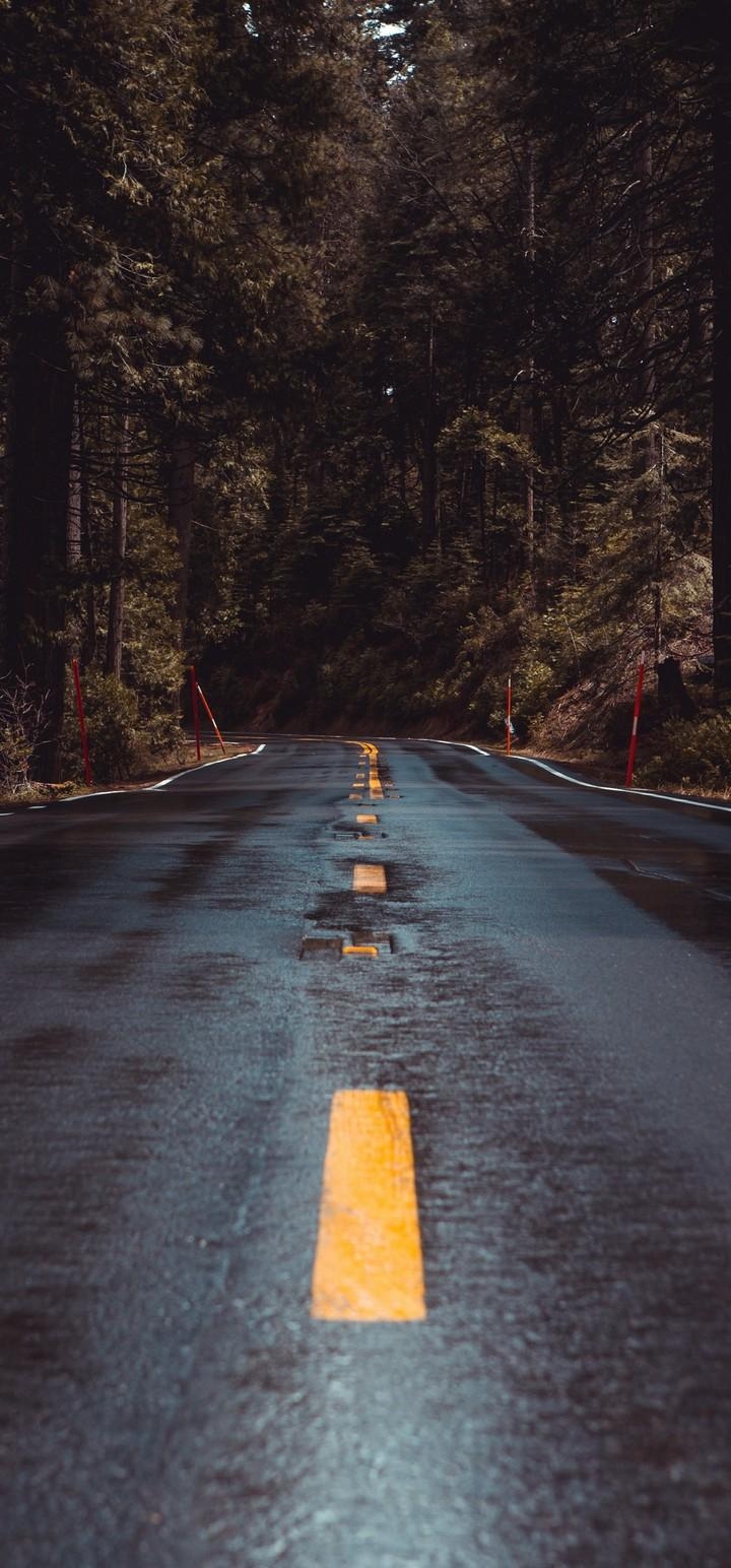 720x1550 Road Forest Turn Wallpaper - [], Phone