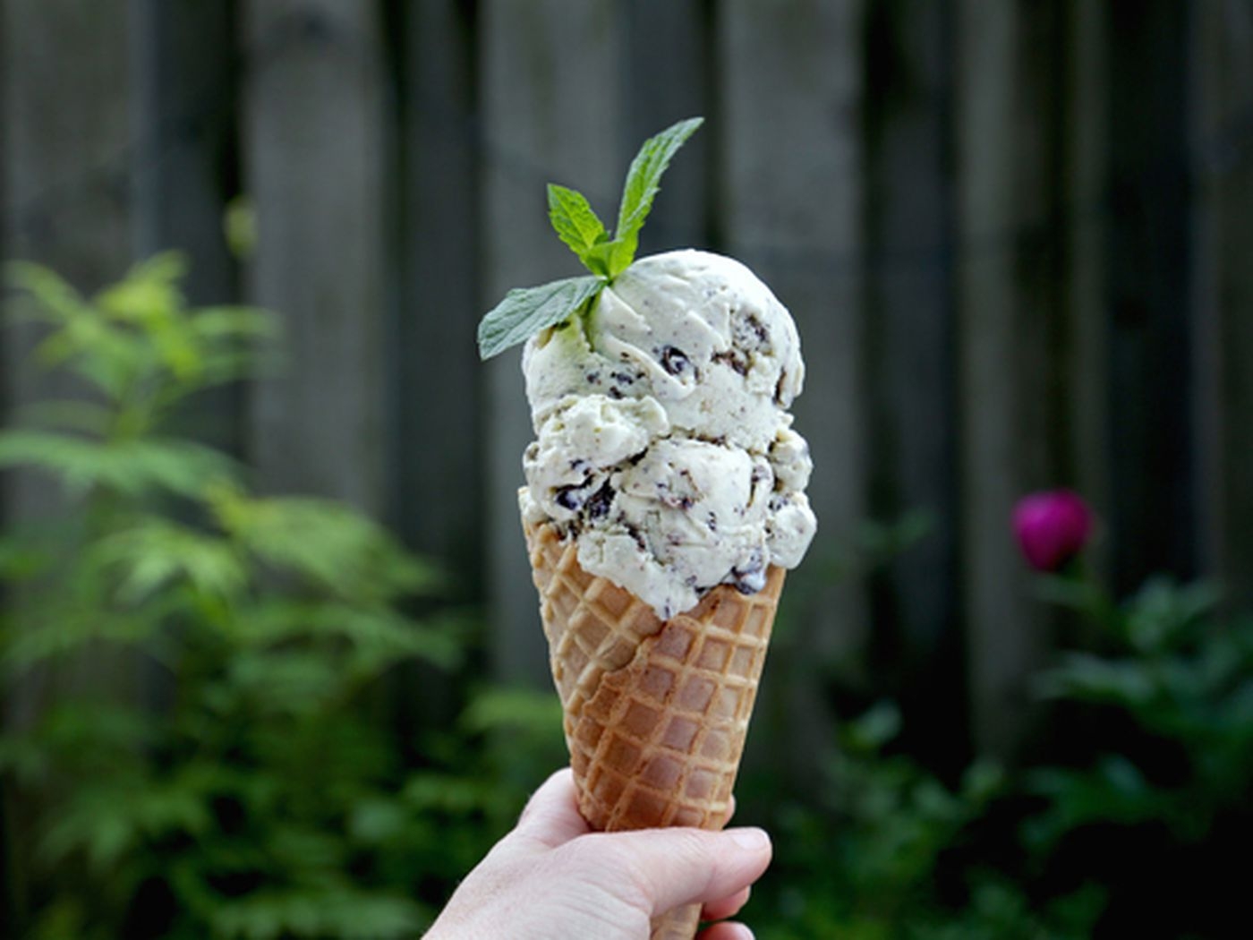 1400x1050 Recipe: Fresh Mint Chocolate Chip Ice Cream, Desktop